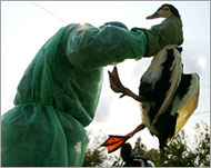 Critics say Egypt is not prepared to handle a major outbreak