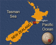 New Zealand is facing a domestic violence crisis