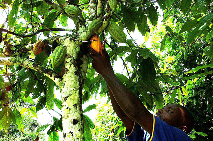 Africa 50 independence - Ivory Coast