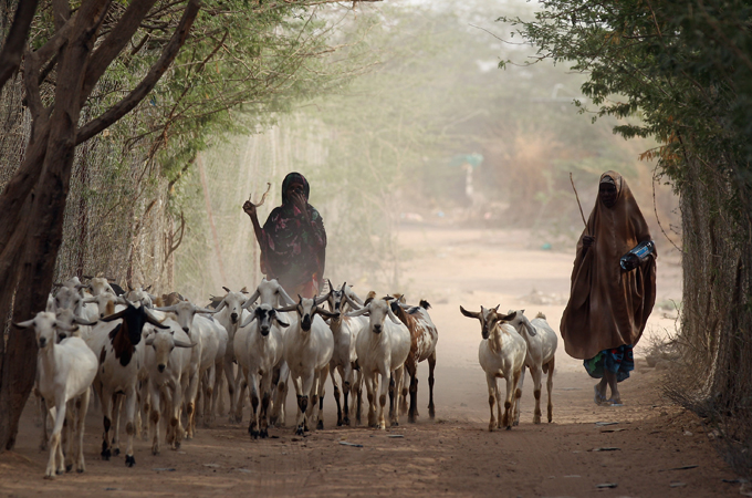 Inside Story - Could African famine have been averted?
