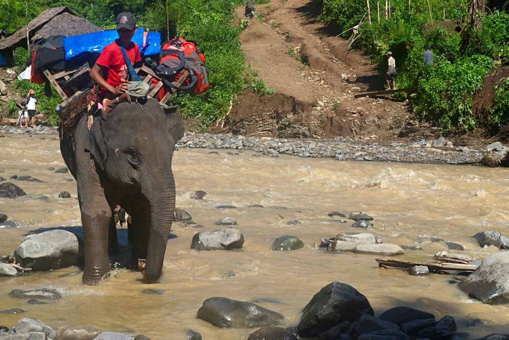<p>In Myanmar(***)s challenging jungle terrain, elephants are the ideal form of transport during the monsoon season.</p>