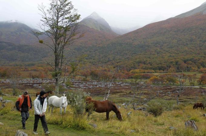 Argentina has a rate of deforestation of 0.8 percent per year - twice that of the Amazon, writes Ricca [Reuters]