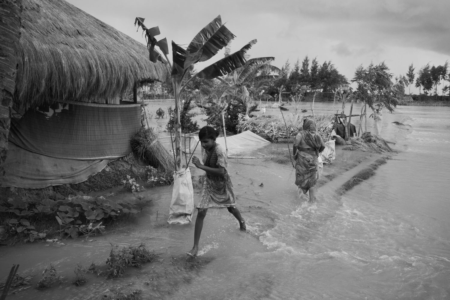 The Hungry Tide/ DO NOT USE/ RESTRICTED