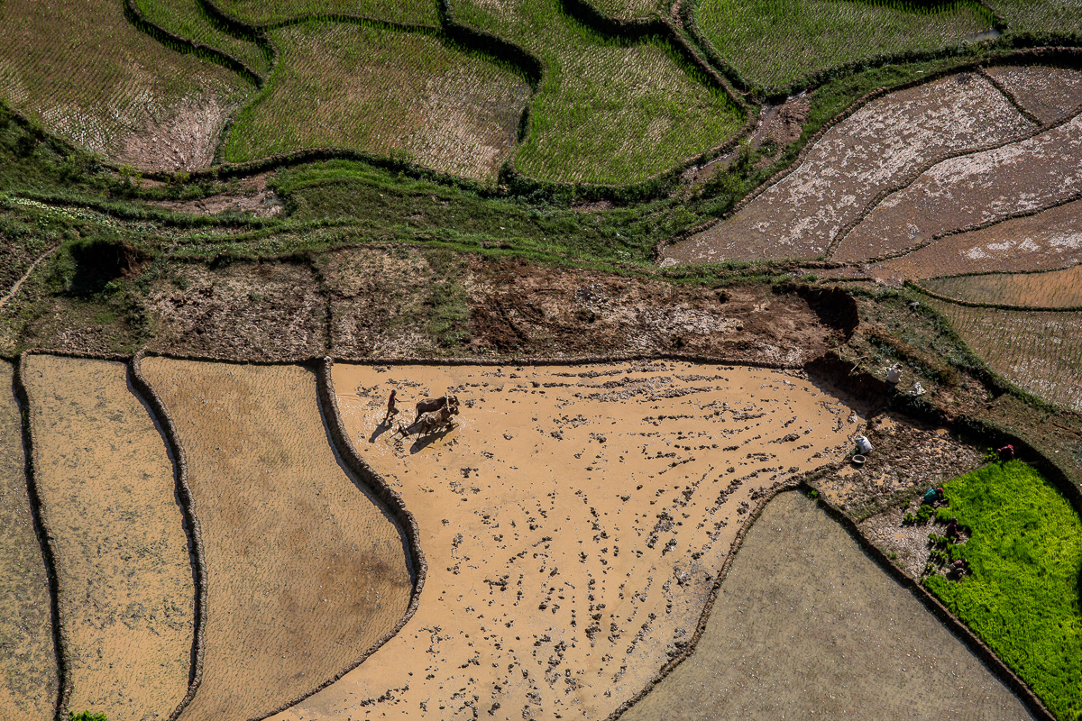 Omar Havana / DO NOT USE/ RESTRICTED