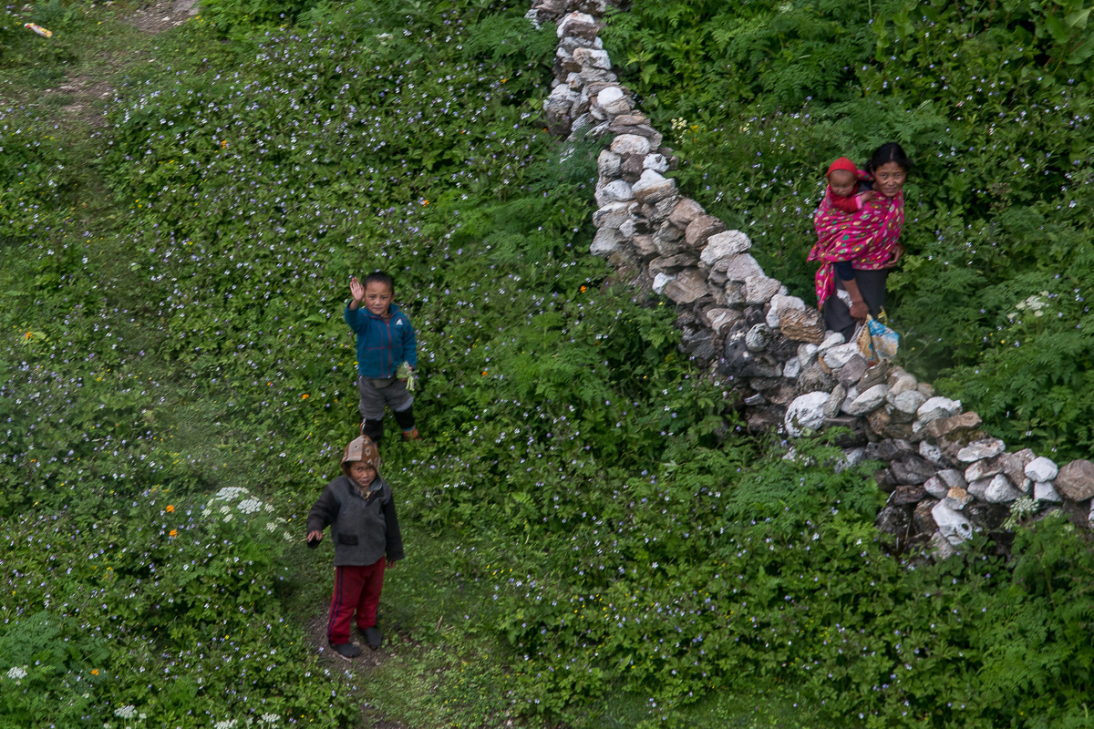 Omar Havana / DO NOT USE/ RESTRICTED