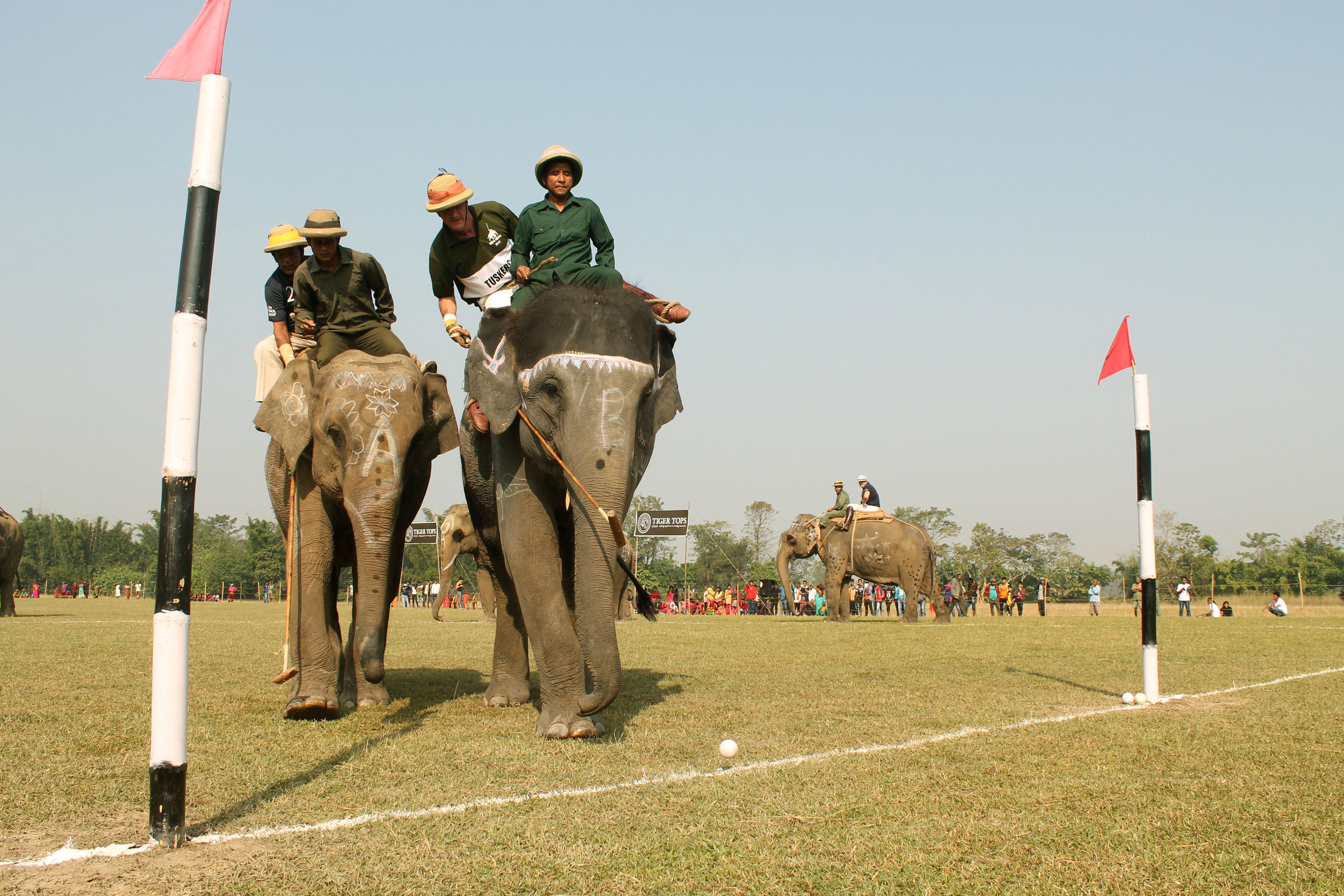 WORLD ELEPHANT POLO/ Please Do Not Use