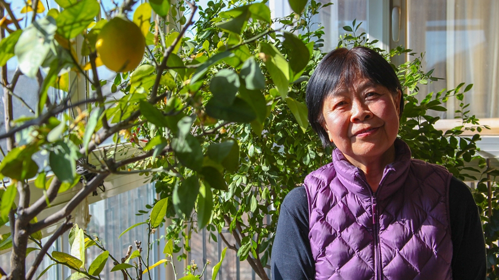 Do not use - Dai Qing