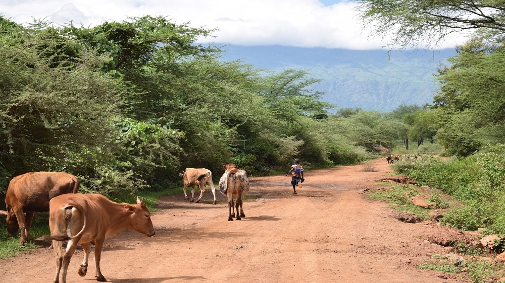 Tullow Oil/ do not use