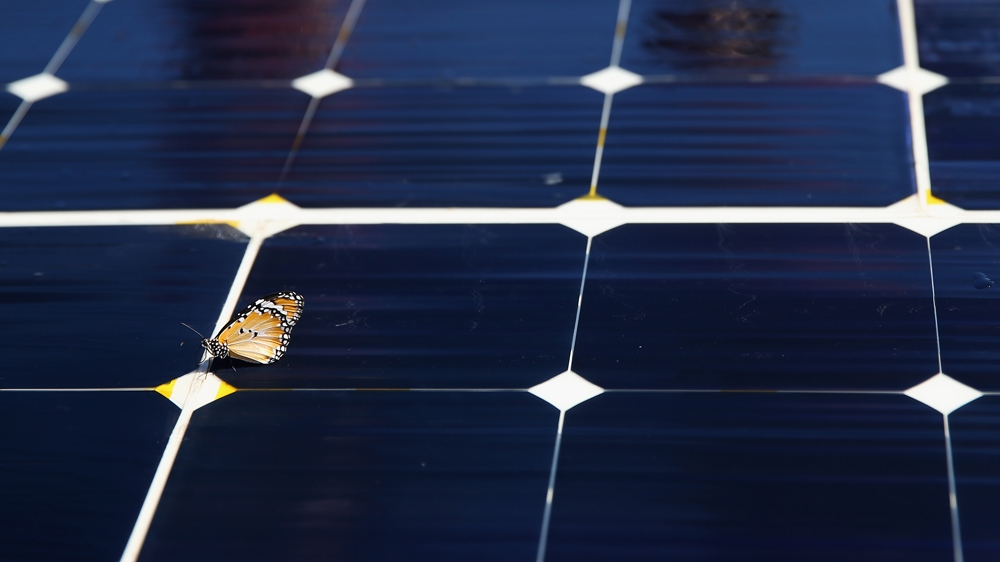 2013 World Solar Challenge: Day 3