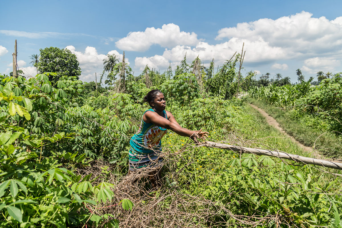 Bodo Village, Nigeria / Please DO Not Use