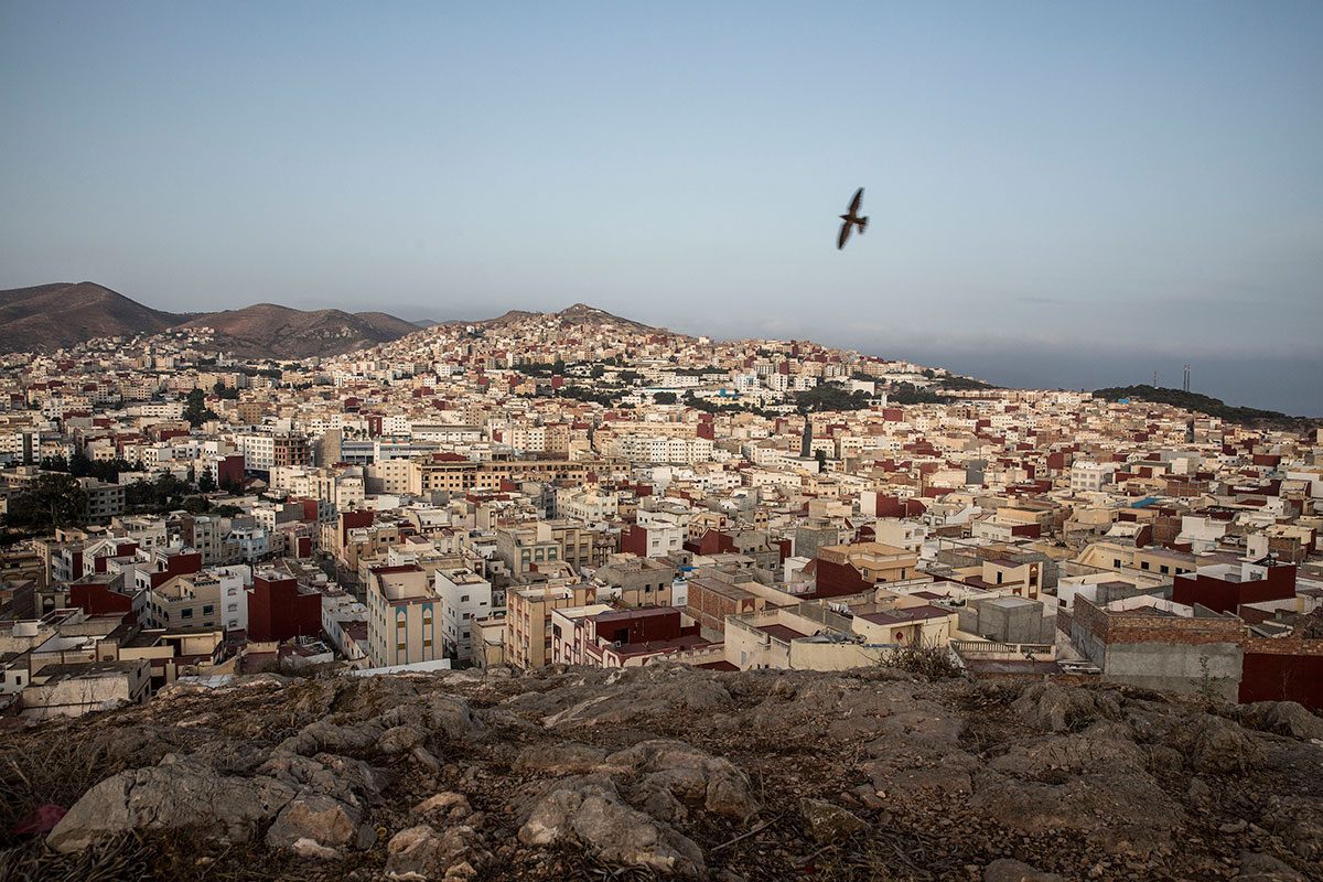 The struggle for the social rights/PLEASE DO NOT USE