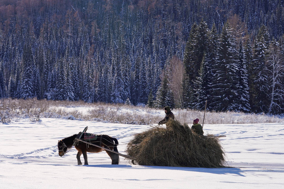 Preserving skiing''s origins in China''s remote west