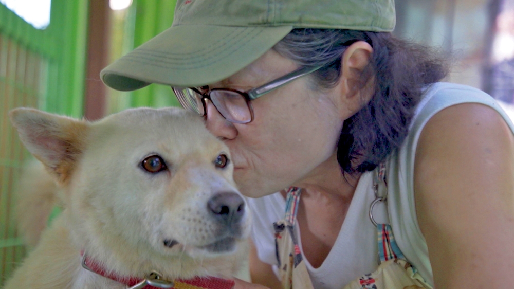 Korean dog meat trade