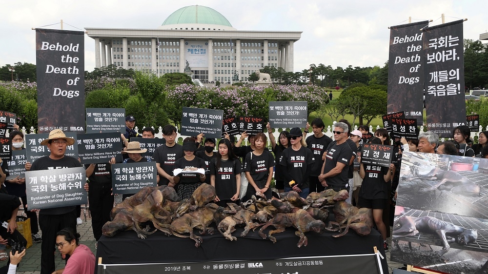 South Korean protesters and American actor Kim Basinger attends a rally against the practice of eating dog meat, in front of the National Assembly in Seoul, South Korea, July 12, 2019. Yonhap via REUT