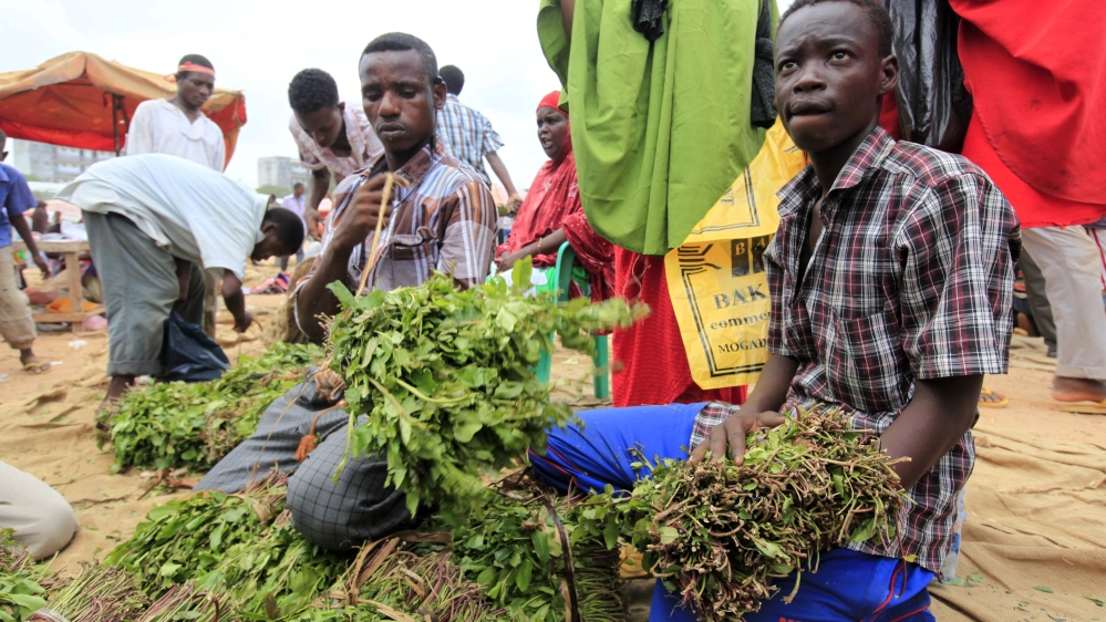 Somali vendors sell khat, a mild stimulant narcotic leaf, at an open air market in southern Mogadishu''s Hodan district