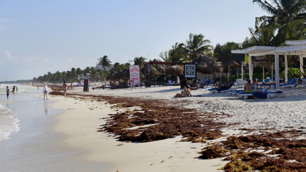 Tulum Mexico Coronavirus