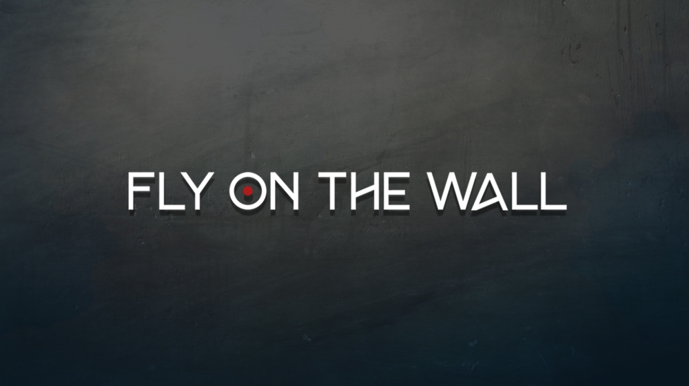 Fly on the wall logo w background