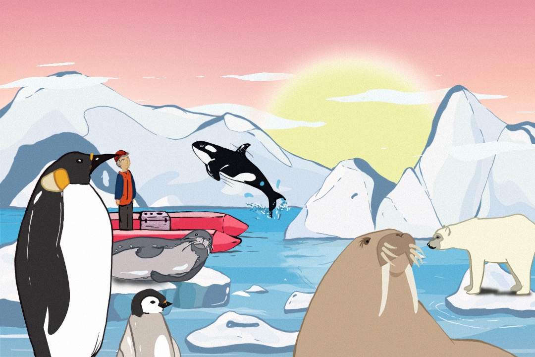 [Illustration by Jawahir Al Naimi/Al Jazeera]