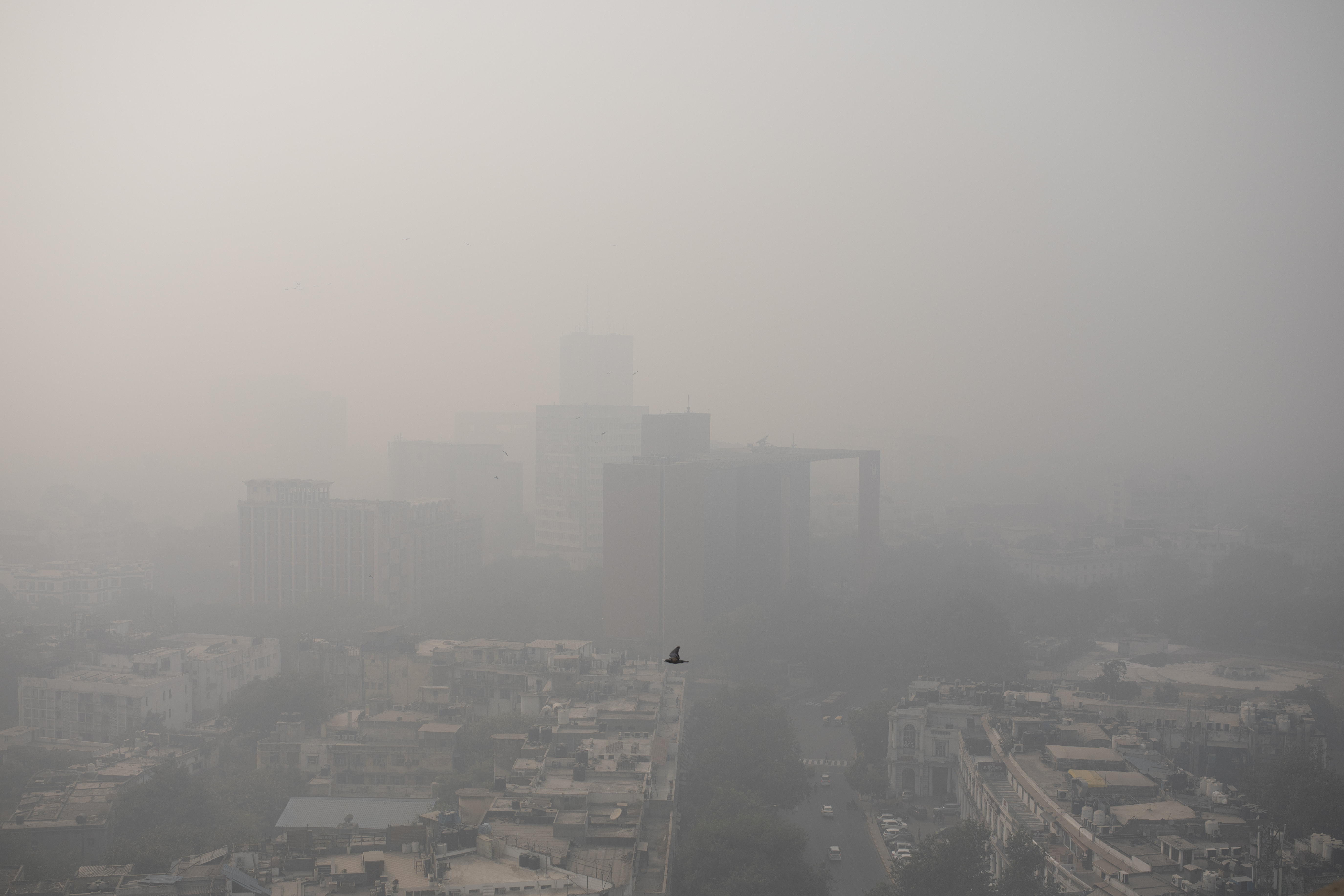 Smog envelopes the skyline in New Delhi [Altaf Qadri/AP Photo]