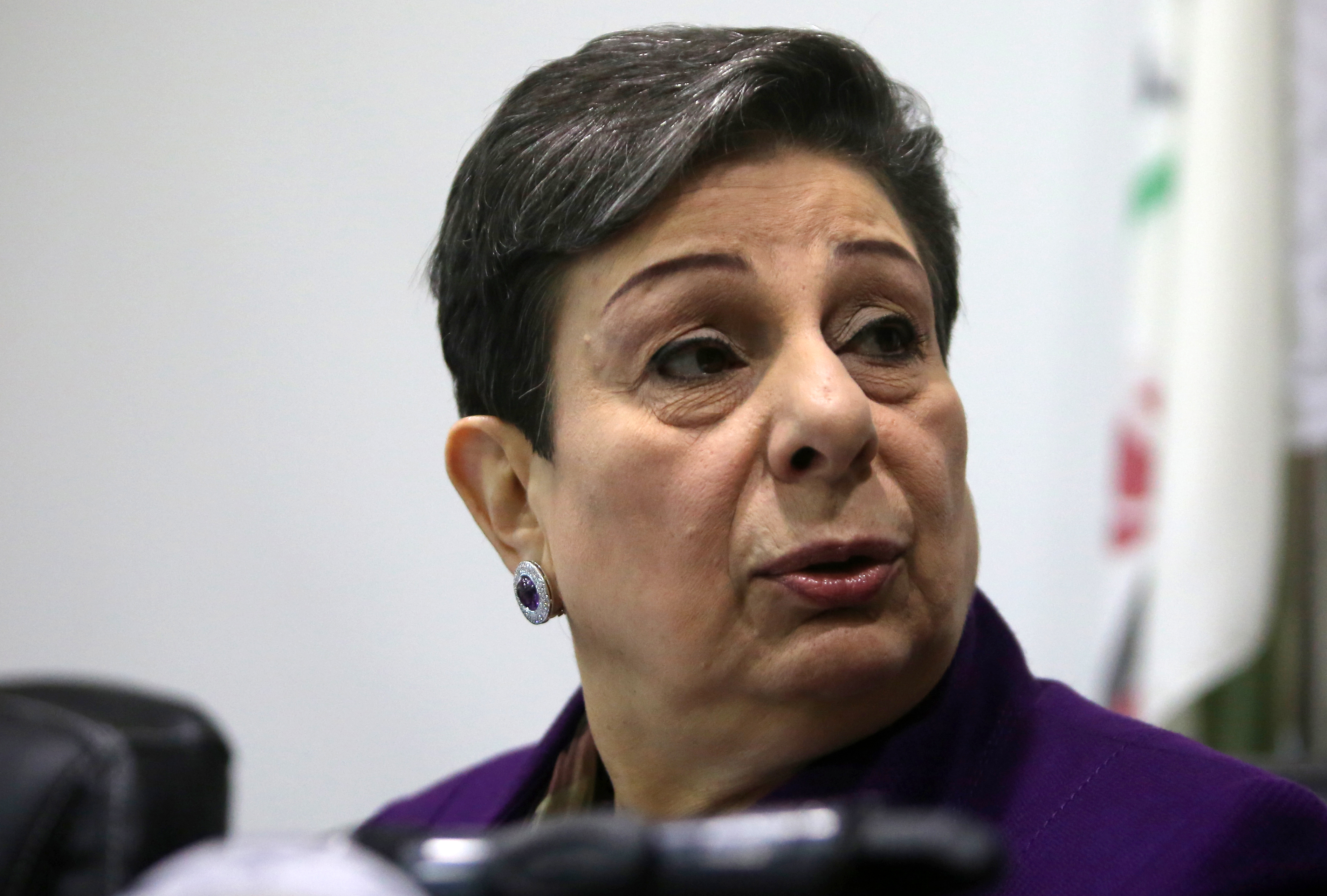 PLO executive committee member Hanan Ashrawi [File: Abbas Momani/AFP]