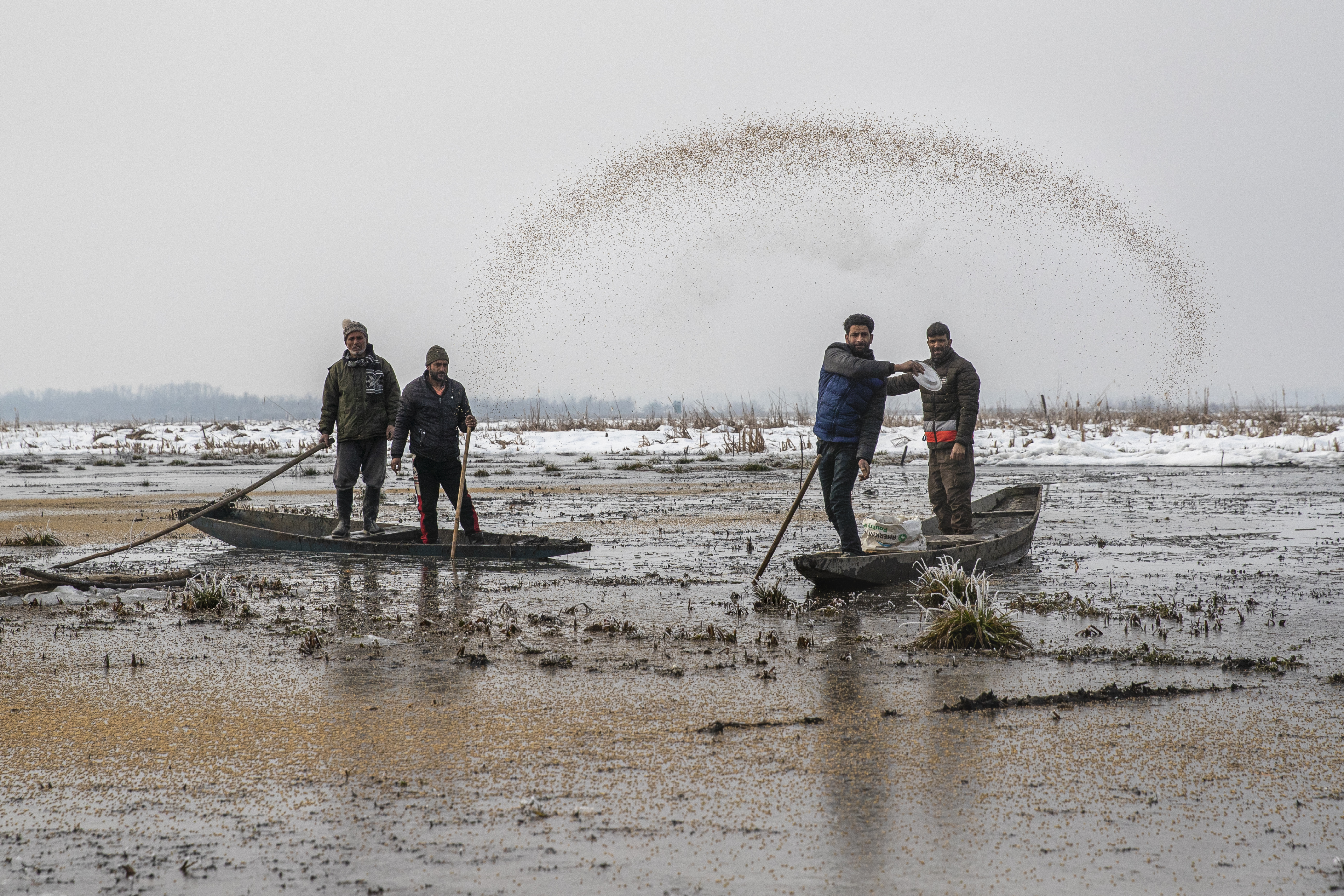 Wildlife workers scatter bird feed on the frozen surface of a wetland in Hokersar, north of Srinagar city. [Dar Yasin/AP Photo]