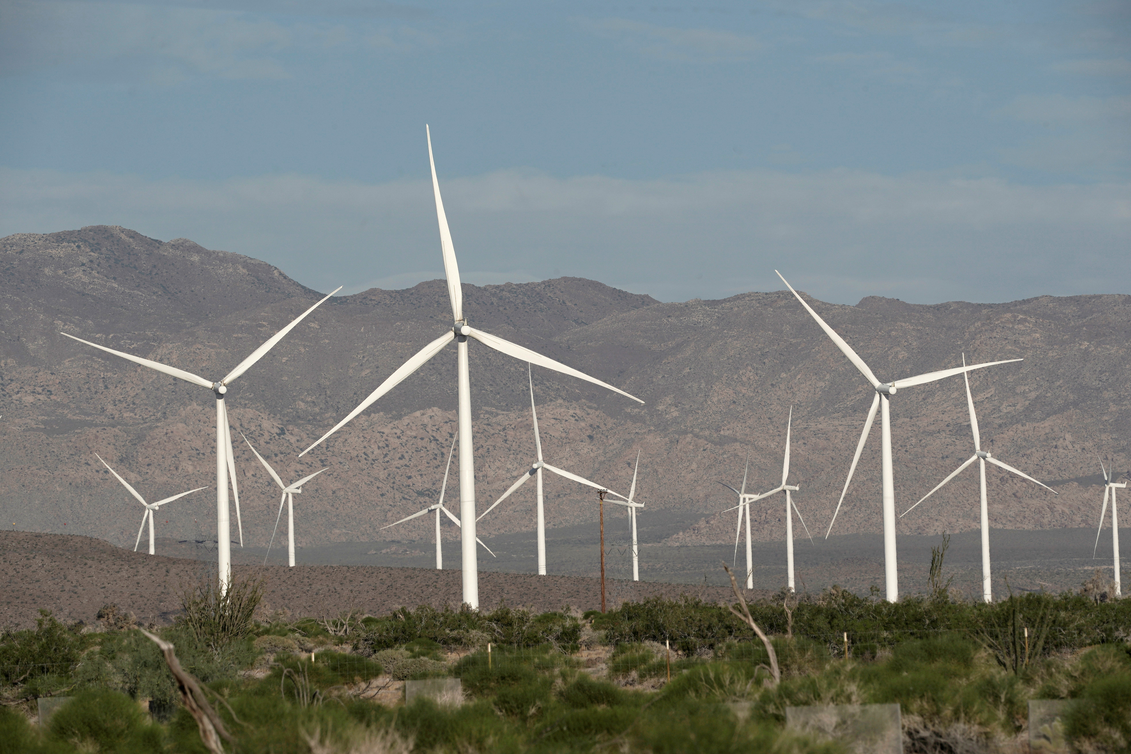 Power-generating Siemens 2.37MW wind turbines are seen at the Ocotillo Wind Energy Facility California, US [File: Bing Guan/Reuters]