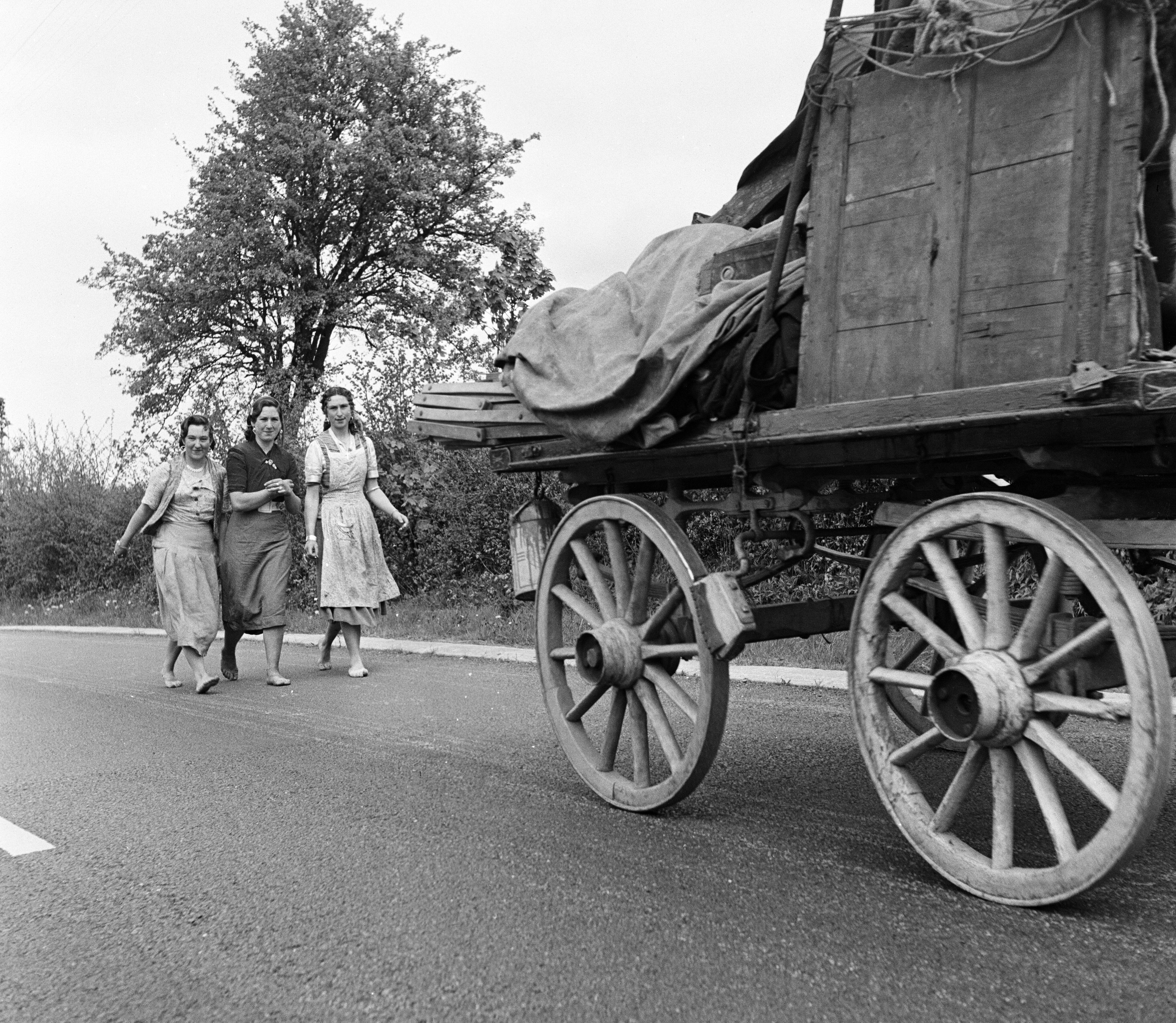 Romany women pictured in Wales in May 1954 [Ron Harding/Mirrorpix/Getty Images]