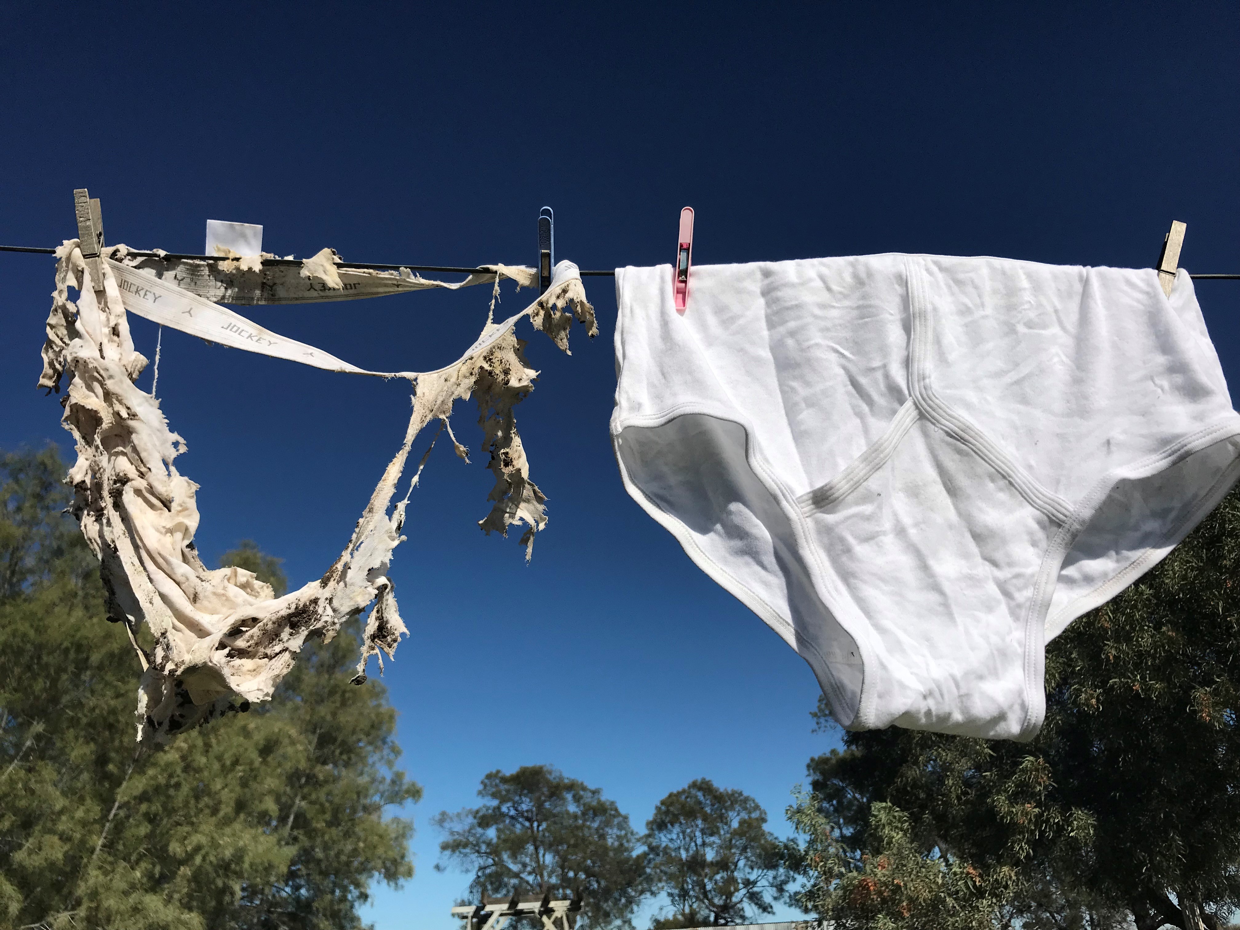 A pair of &#39;soiled undies&#39; before and after being buried in the ground [Courtesy of Oliver Knox]