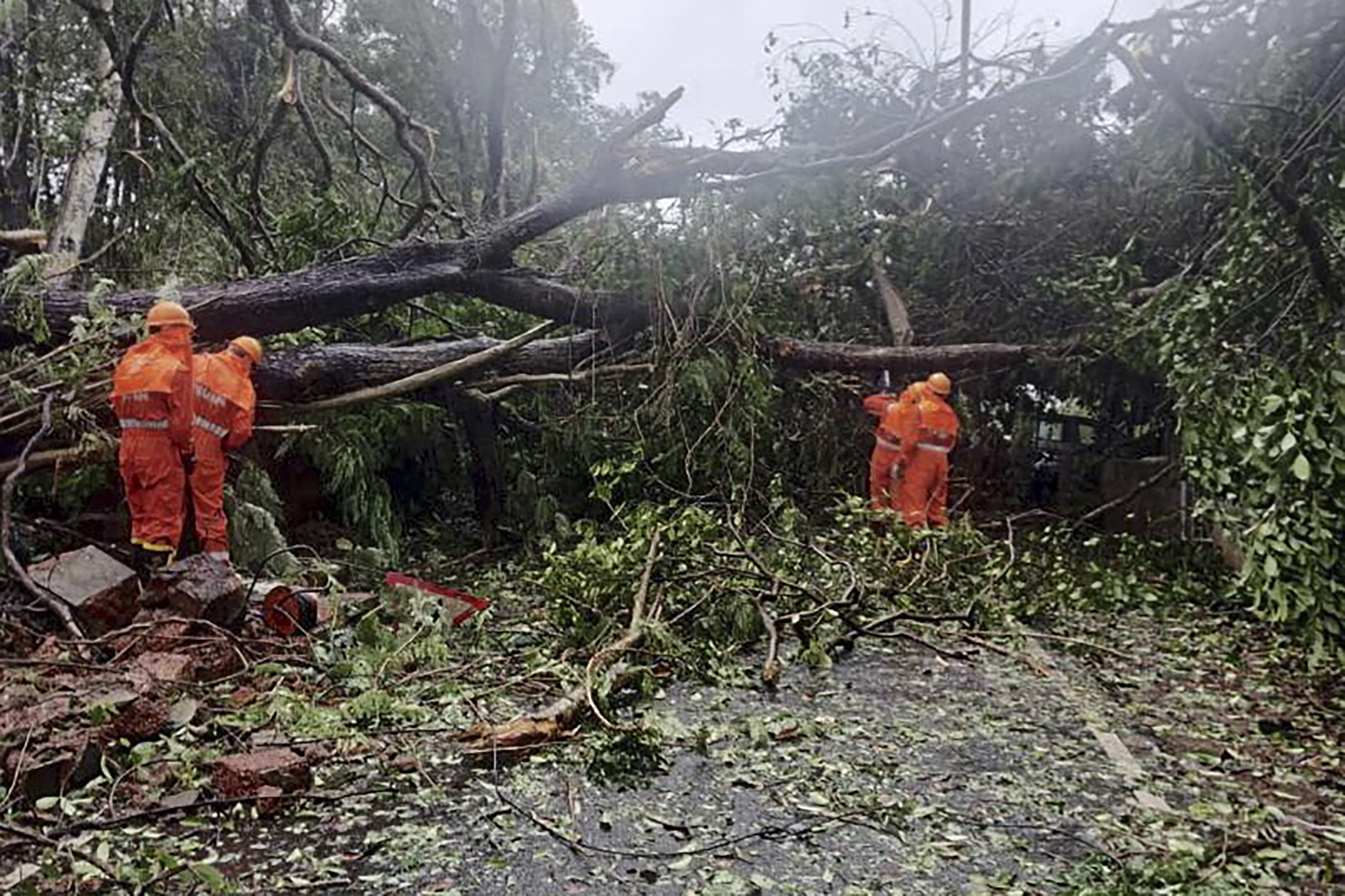 The National Disaster Response Force personnel clearing fallen trees from a road following severe cyclonic storm &#39;Tauktae&#39; at Margao in Goa [National Disaster Response Force/AFP]