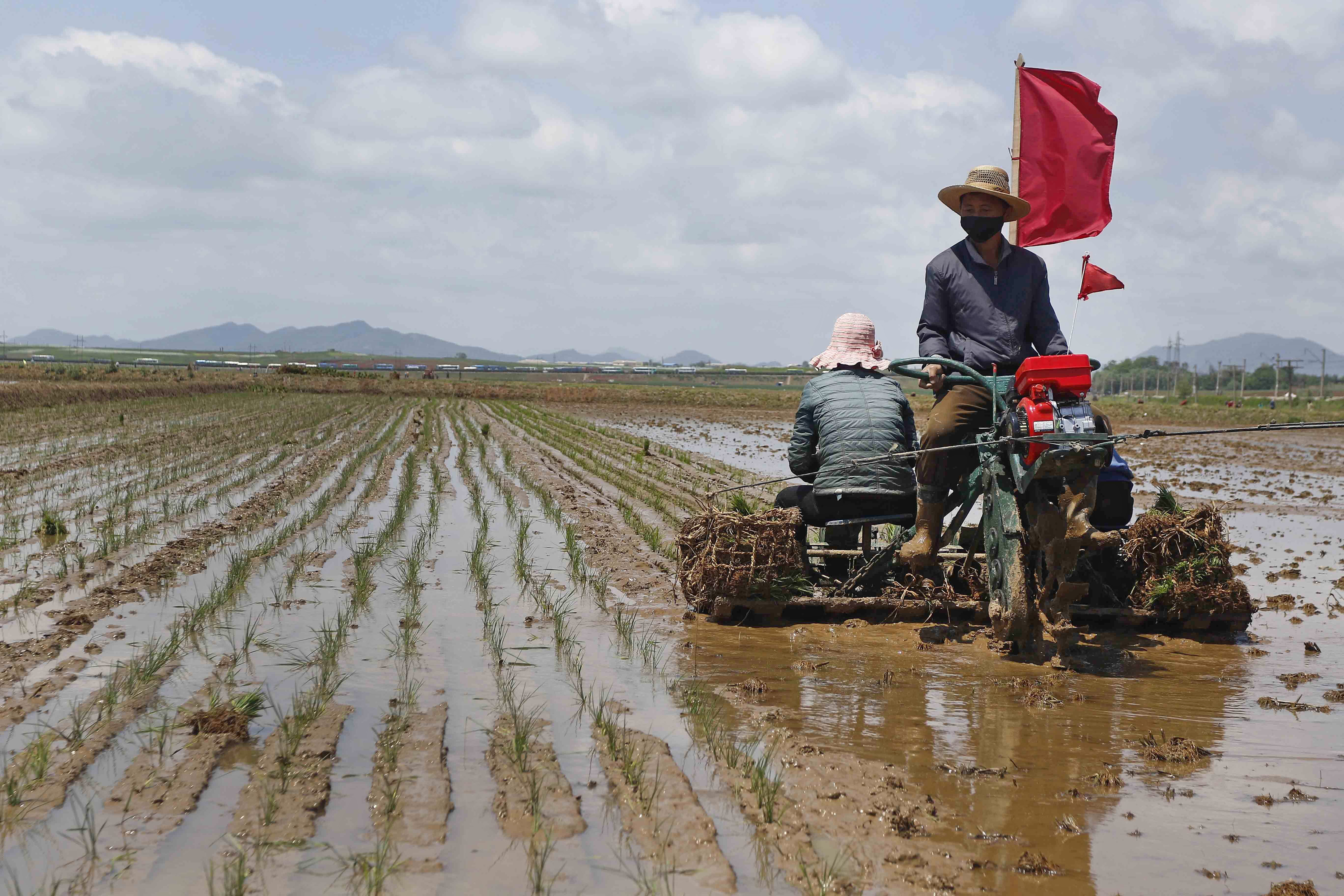 North Korea has long struggled to feed itself but the combination of sanctions, the suspension of trade with China and extreme weather has made matters worse [File: Jon Chol Jin/AP Photo]