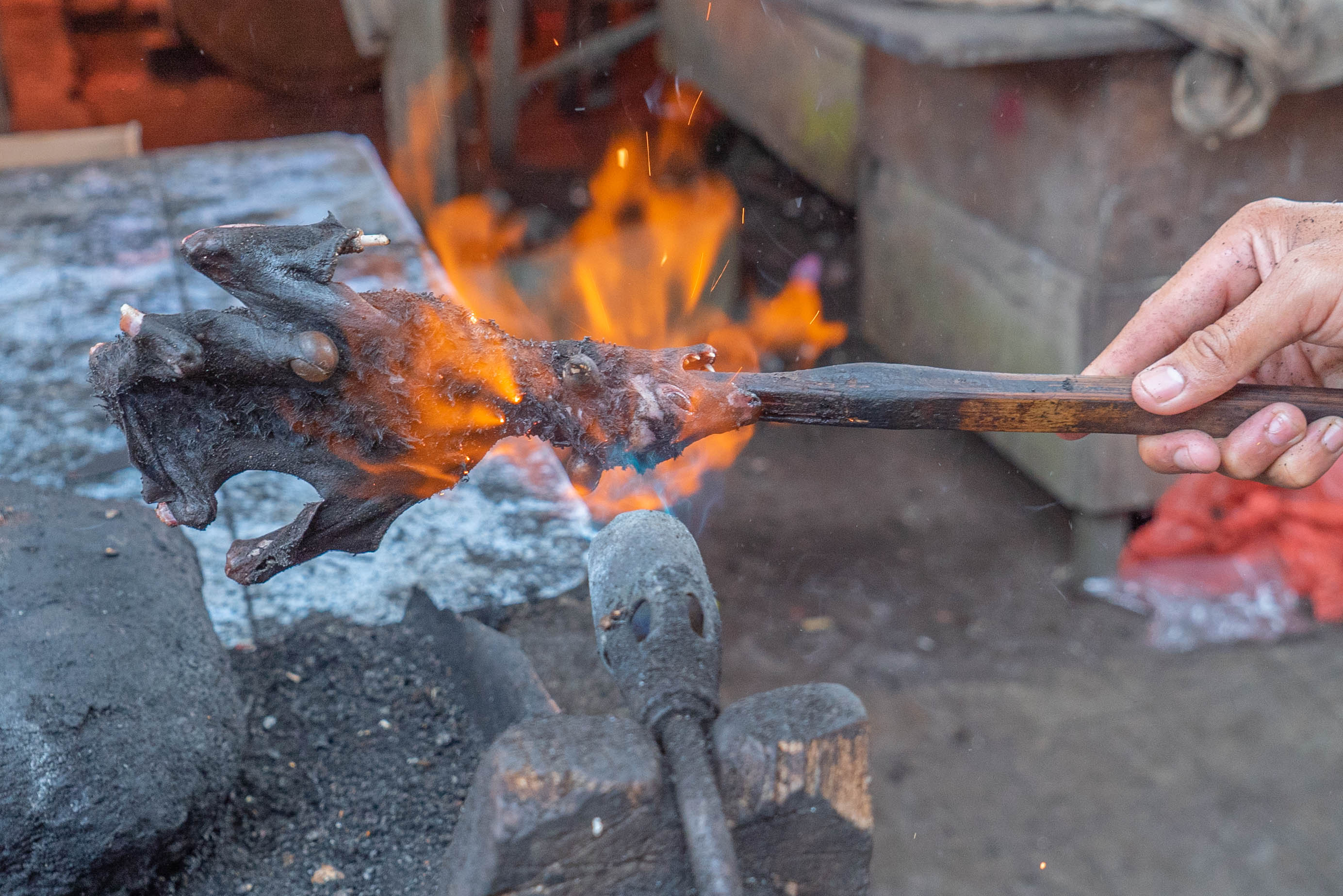 A trader torches a bat at a live animal market in Langowan in the Indonesian province of Sulawesi in June [Courtesy of Four Paws]