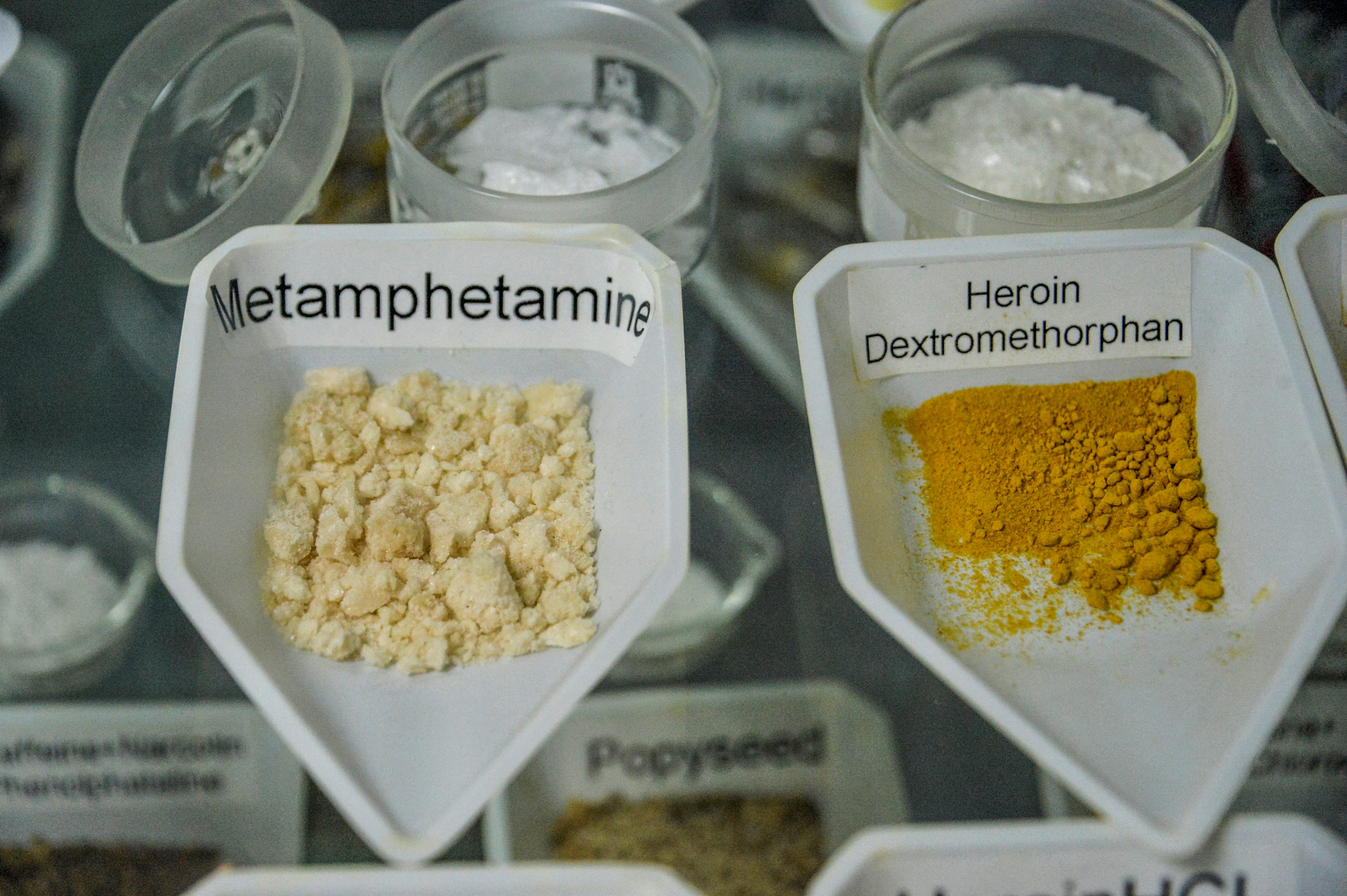 In some parts of Afghanistan, methamphetamine output now appears to be outpacing that of opium [File: Noorullah Shirzada/AFP]