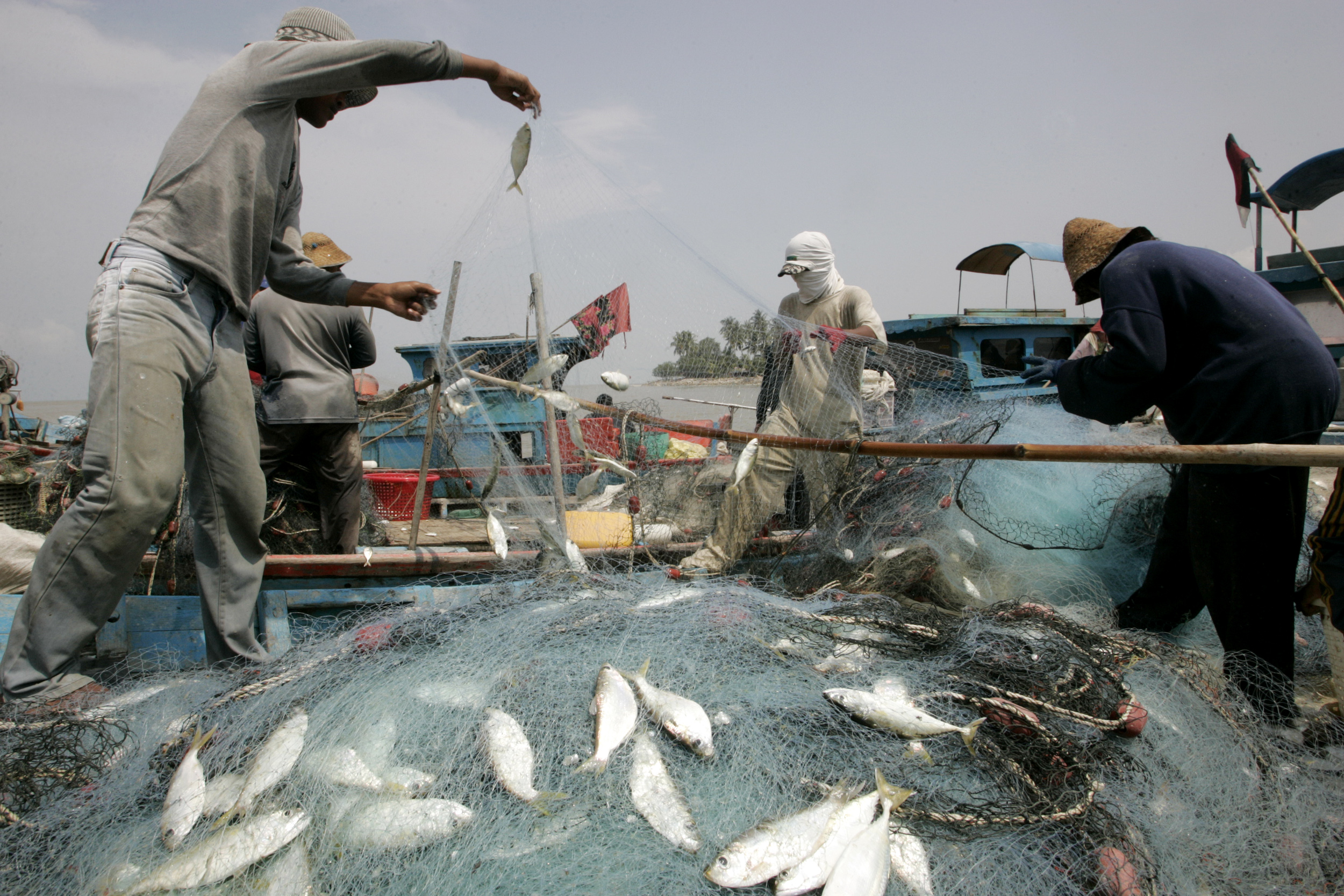 Campaigners say fishing communities on Penang island and on the mainland will be affected by the reclamation work [File: Zainal Abd Halim/Reuters]