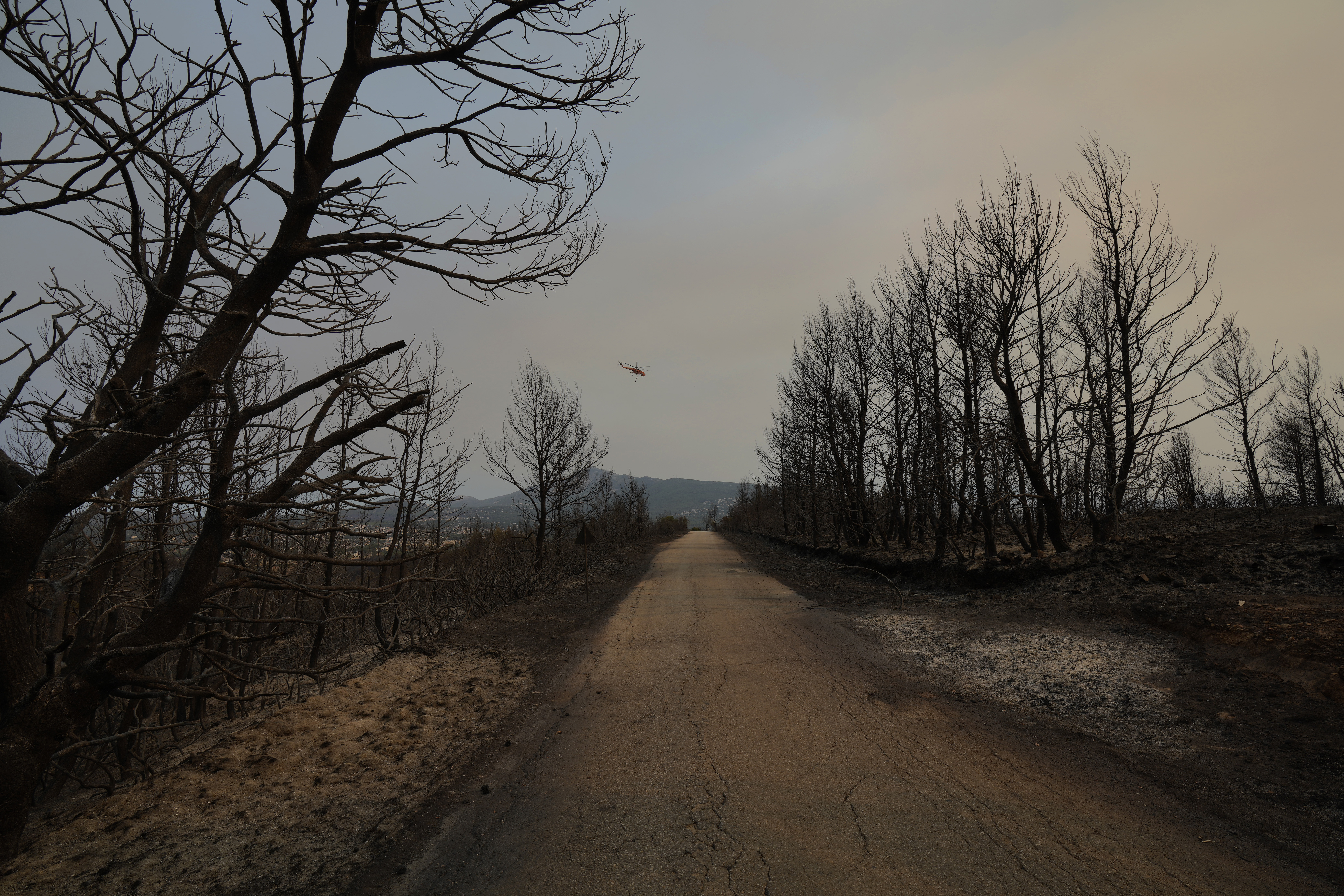 A helicopter flies over a burned area during a wildfire in northern Athens, Greece [Petros Karadjias/AP Photo]