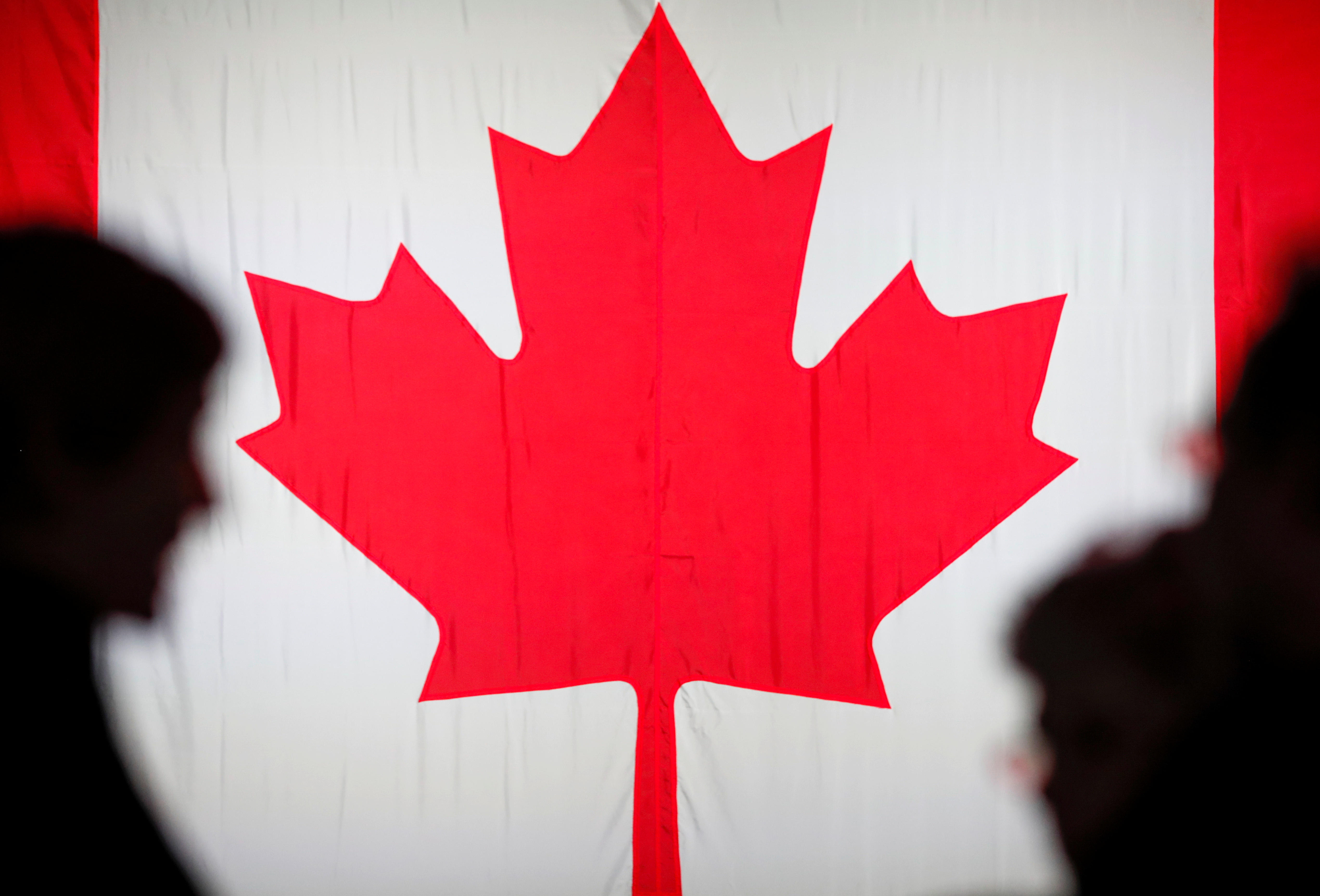 Close up of maple leaf on Canadian flag