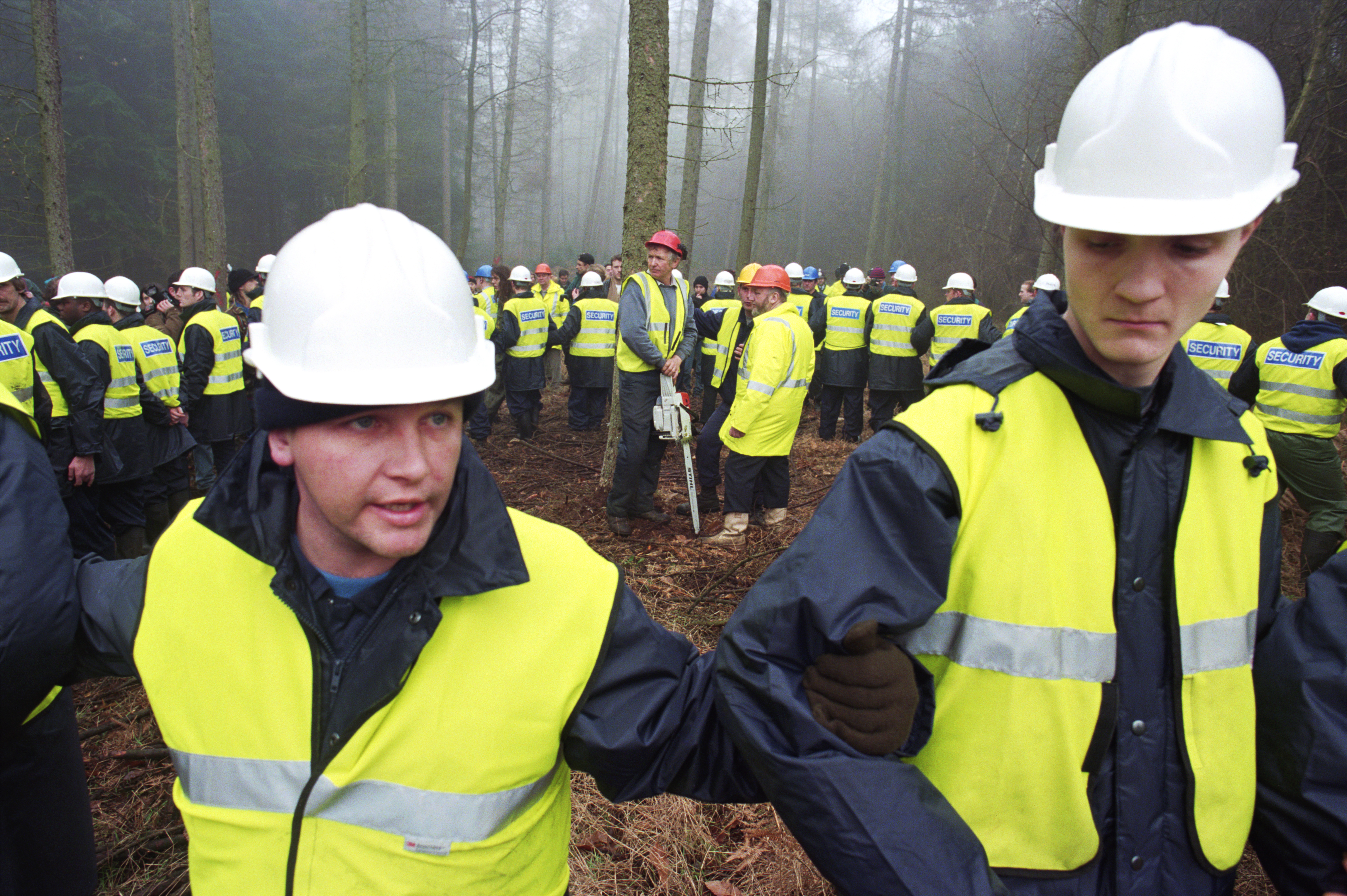 Security guards ring a tree so that it can be chopped down