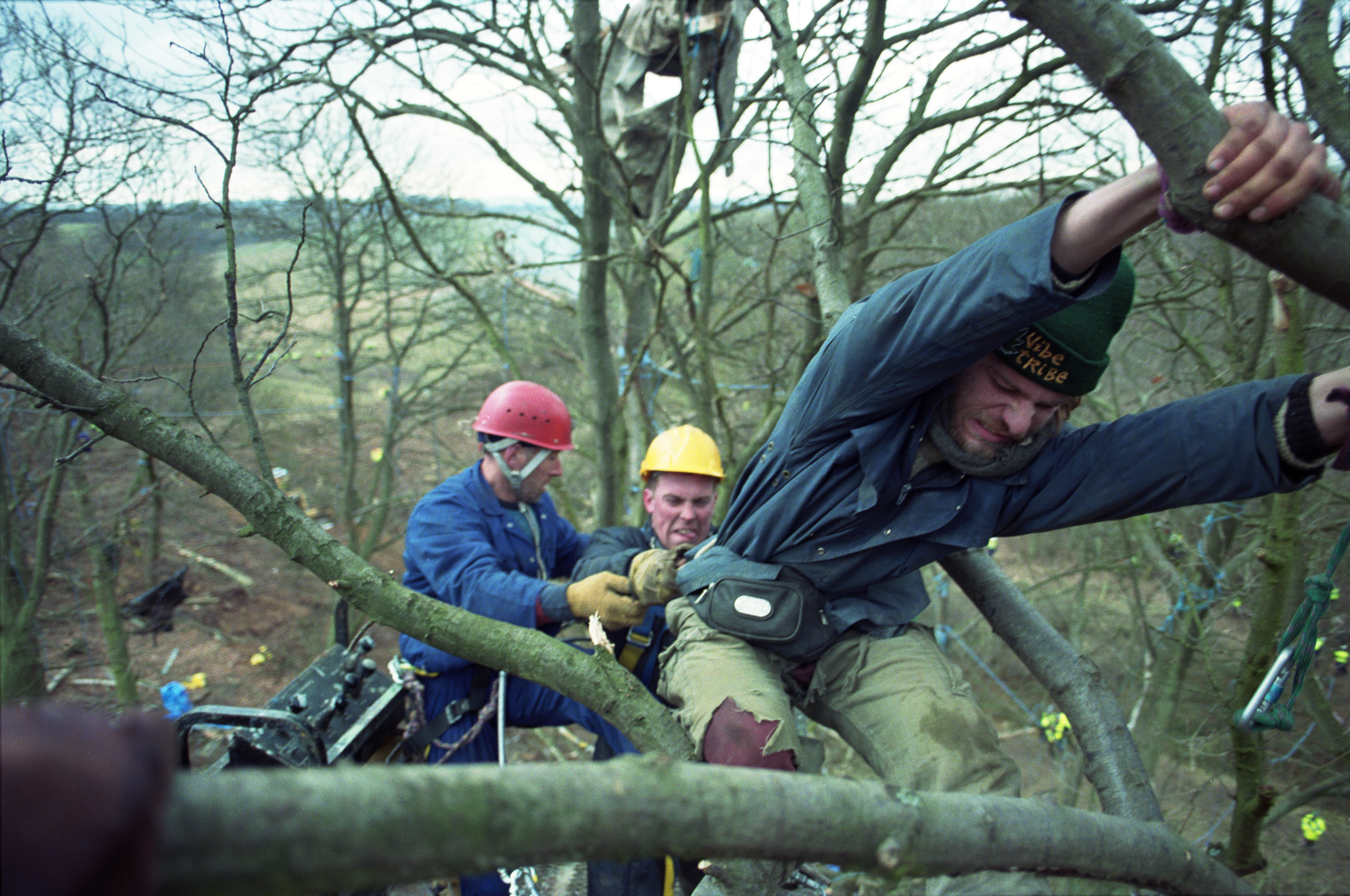 A white male protestor is pulled from a tree by climbers in Newbury, the UK
