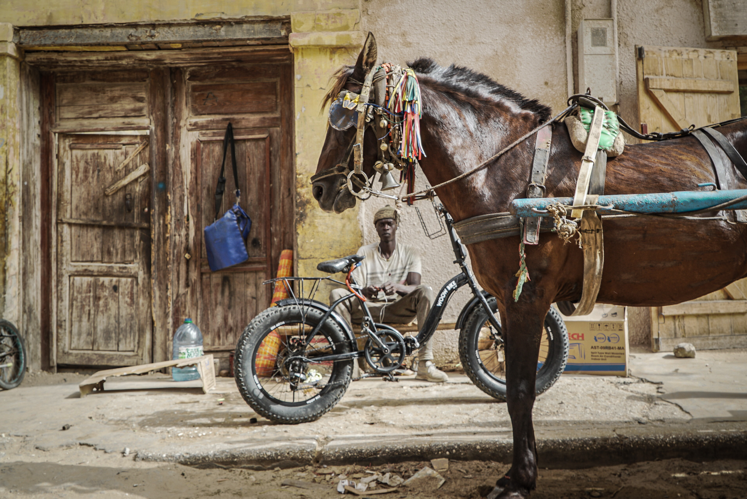 The Saint Louis Jazz Festival took place amid the backdrop of colonial-style buildings and horse-drawn carts.
