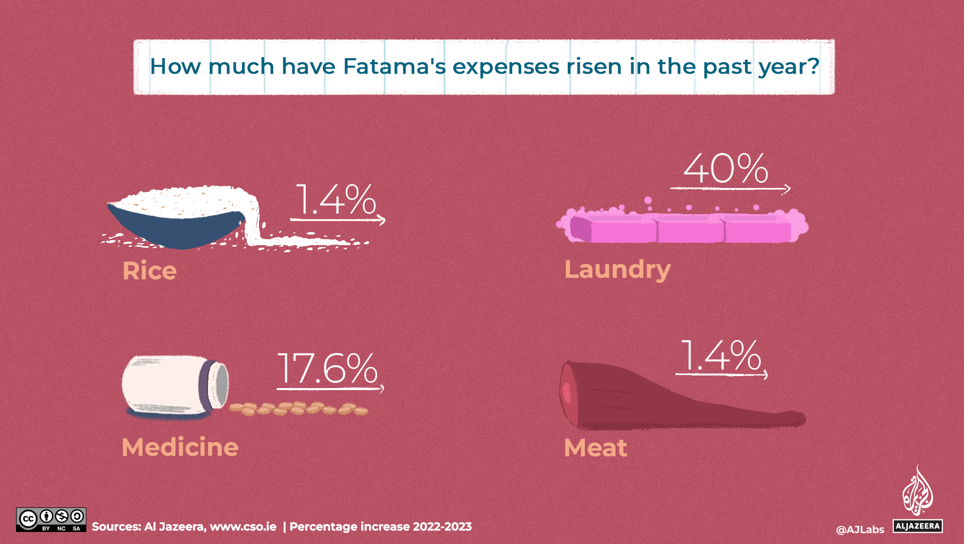 Cost of goods for a refugee in Ireland