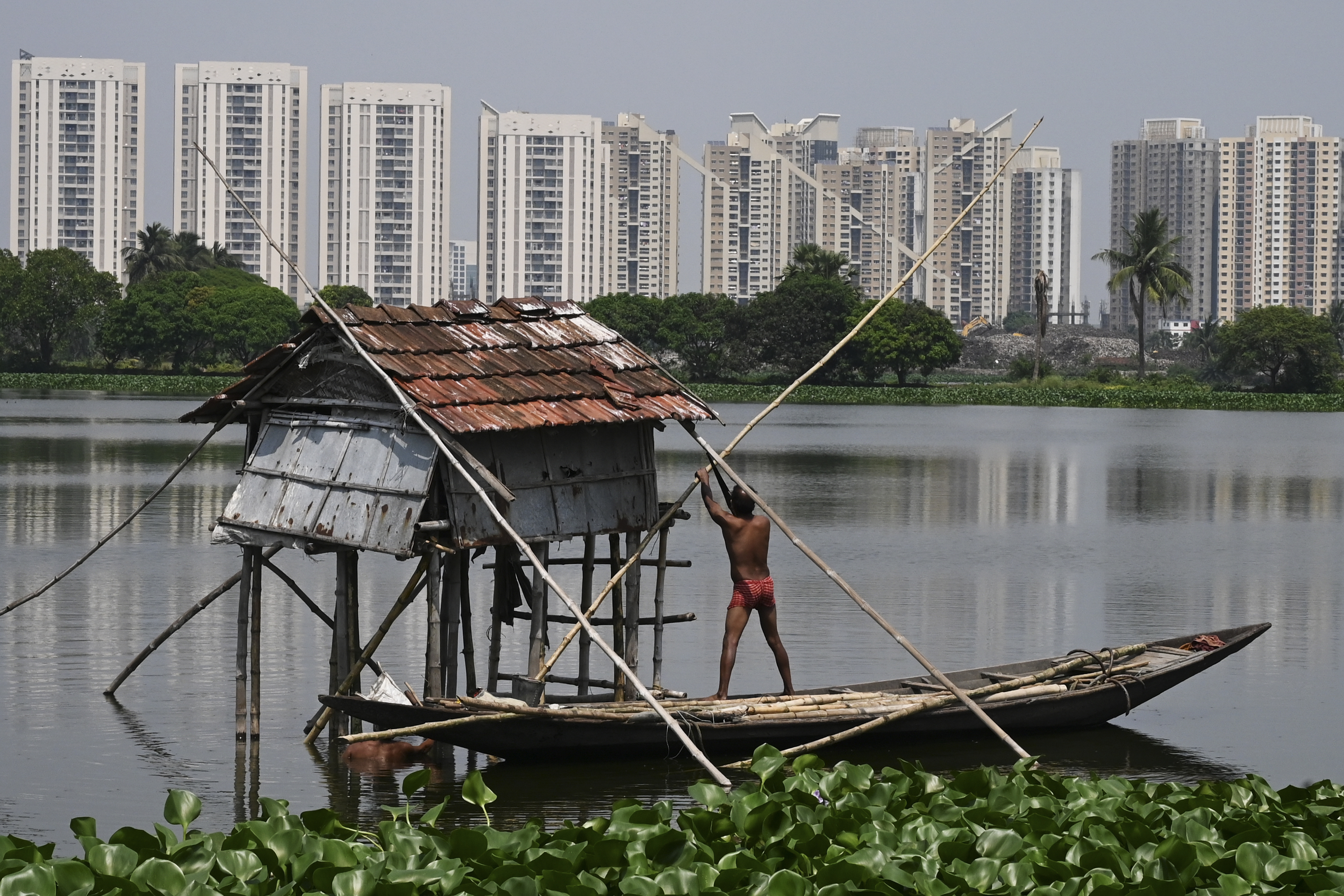 Wetlands just outside India's Kolkata have for generations provided tonnes of food daily and thousands of jobs as they filter sewage through fish ponds -- but rapid urbanisation is threatening the ecosystem.