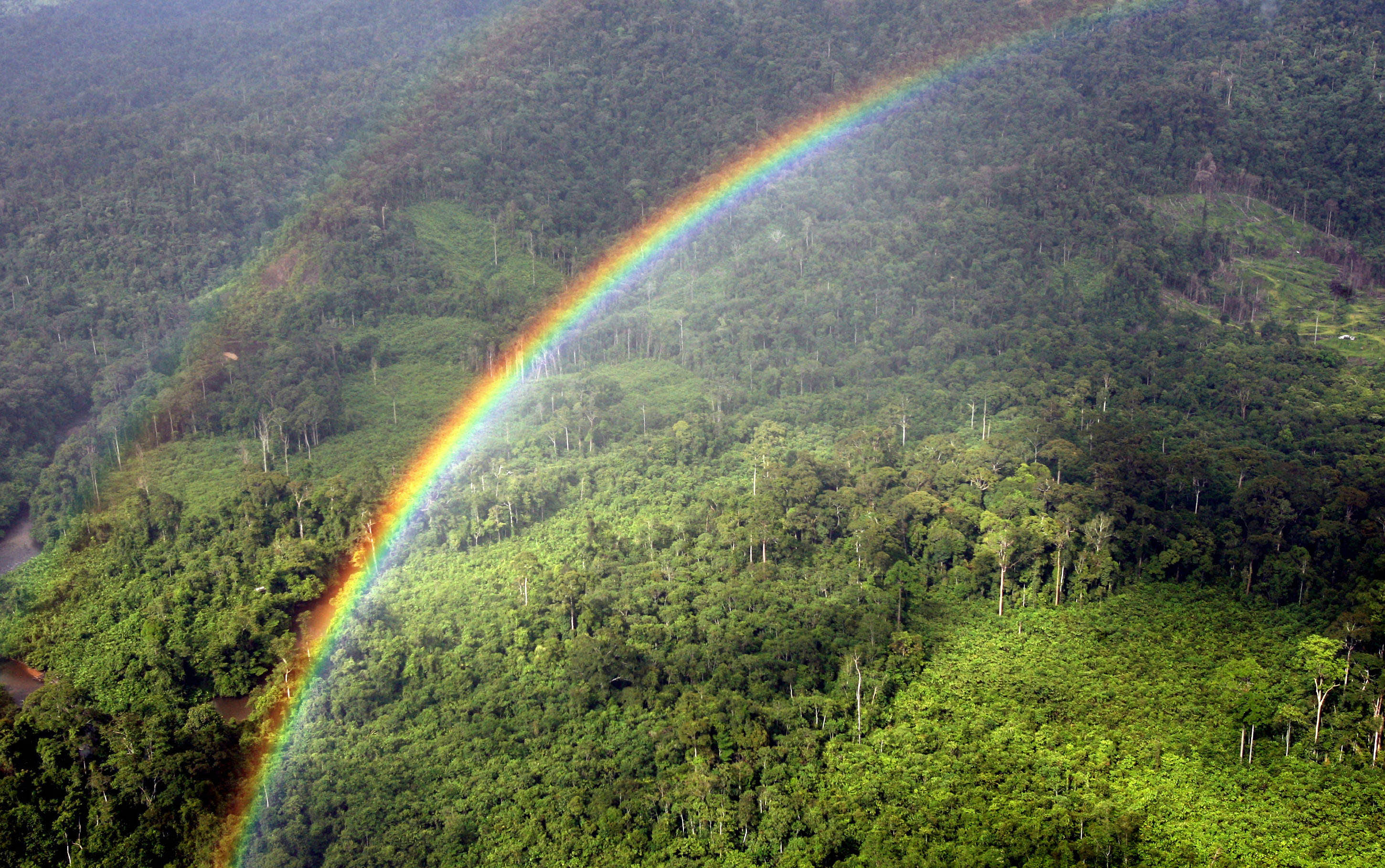 The Ulu Baram rainforest in the Miri interior, eastern Malaysian Borneo state of Sarawak