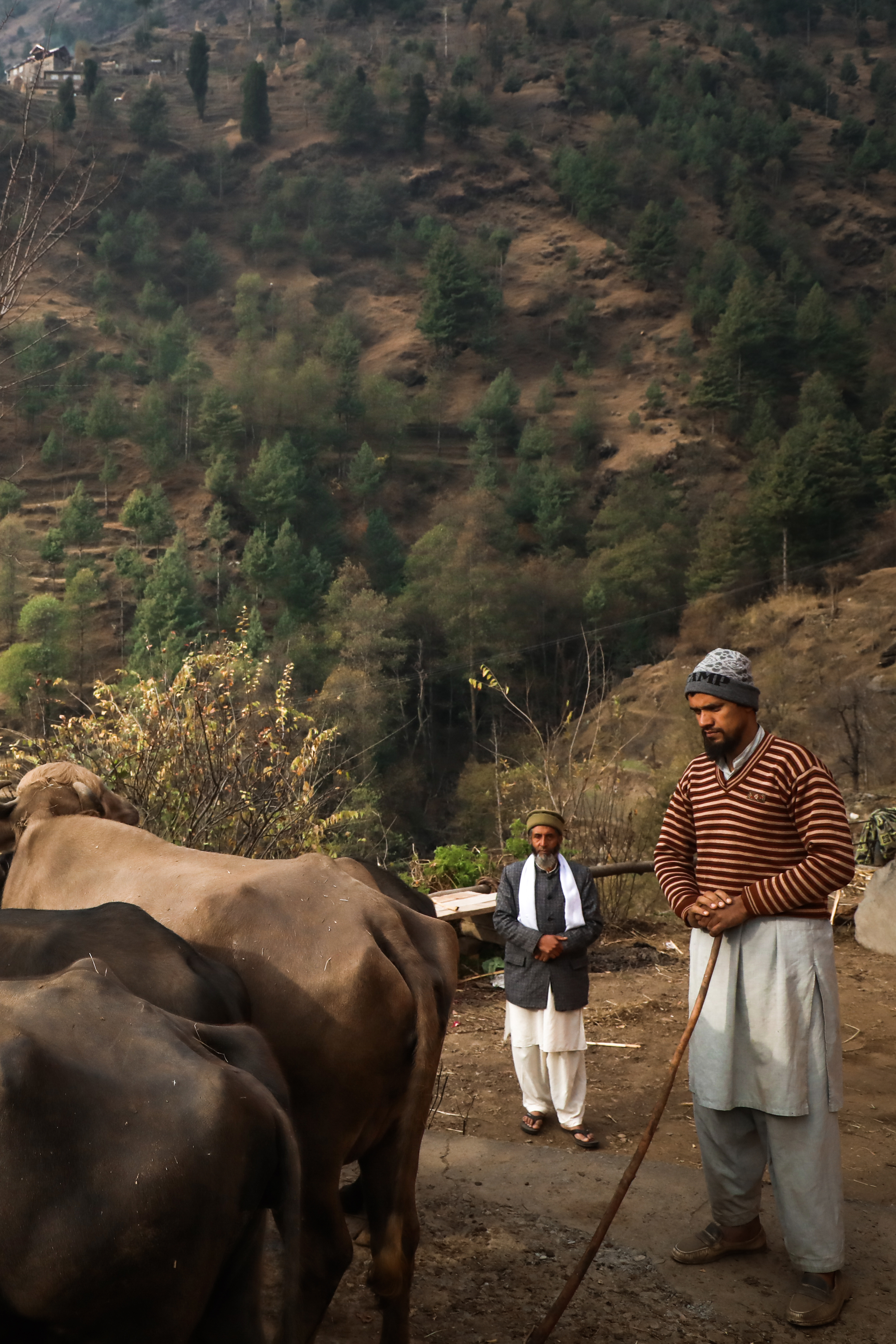 Shabir Ahmad, 36, is one of the sons of Muhammad Hanief. He manages various household tasks and tends to the care of the cattle and sheep. Shabir is deaf-mute