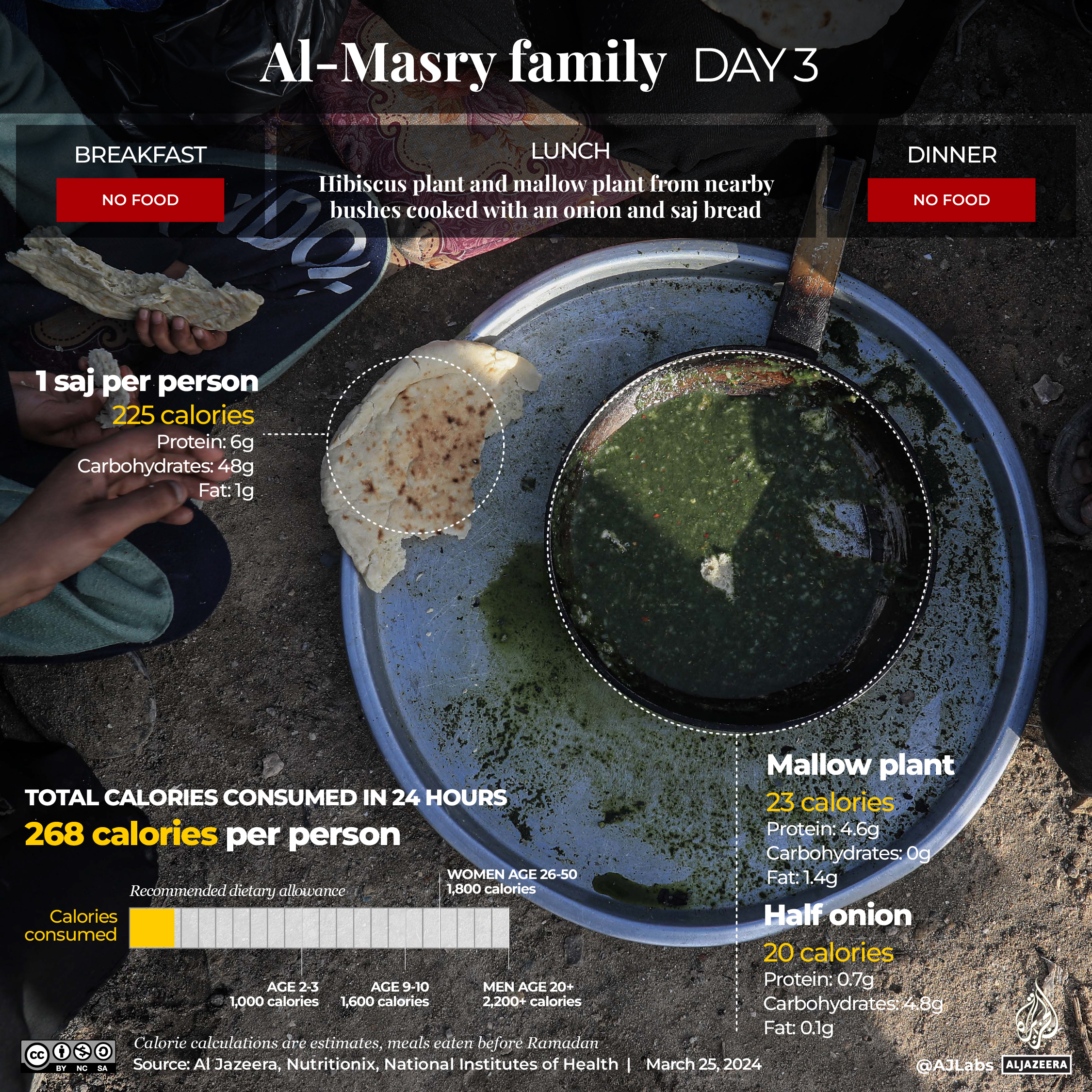 Interactive_AlMasry_day3