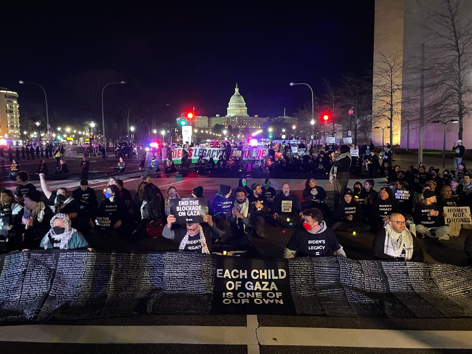 Protesters with US Capitol in background
