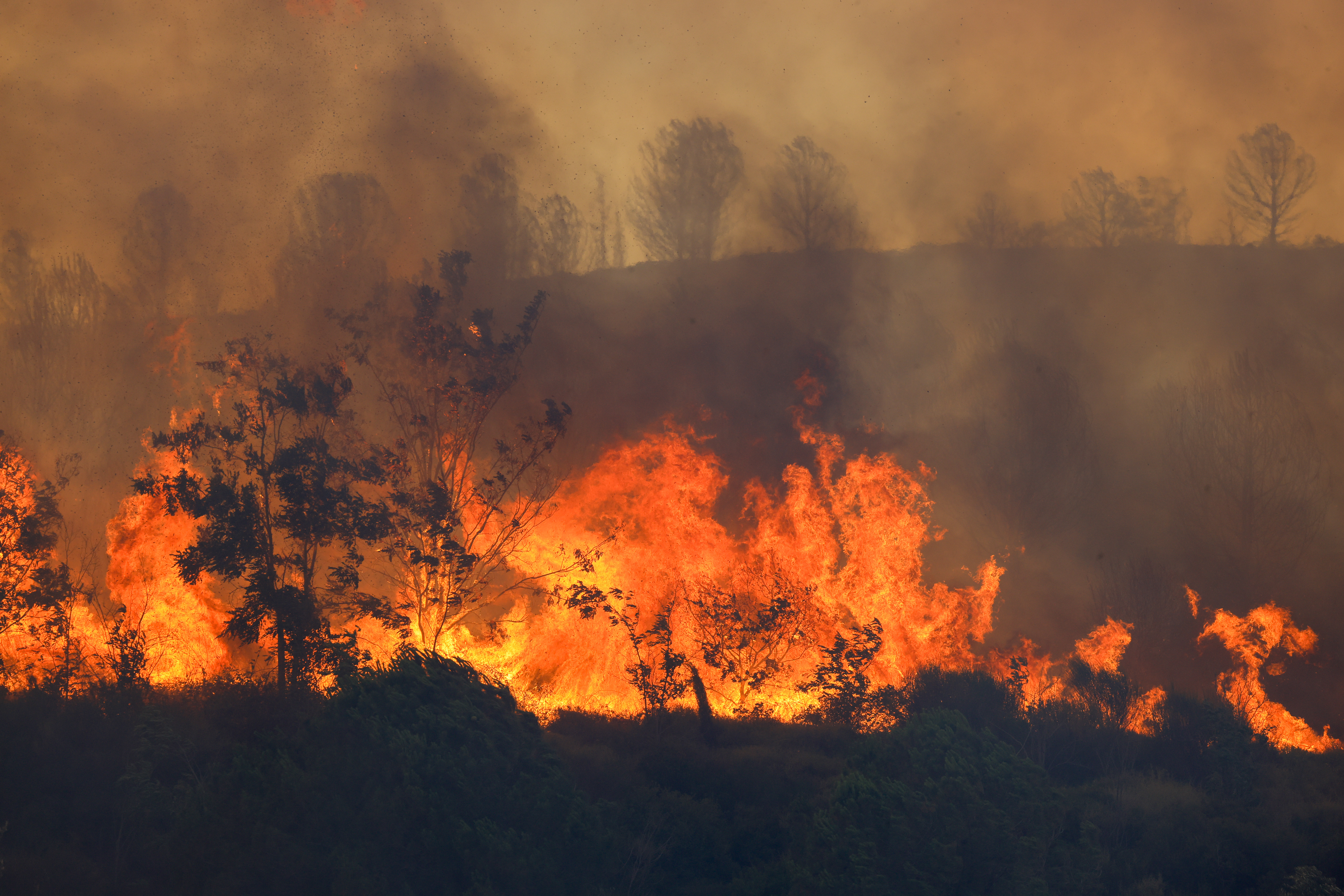 A fire near Kumkoy in the Gelibolu Peninsula, Turkey