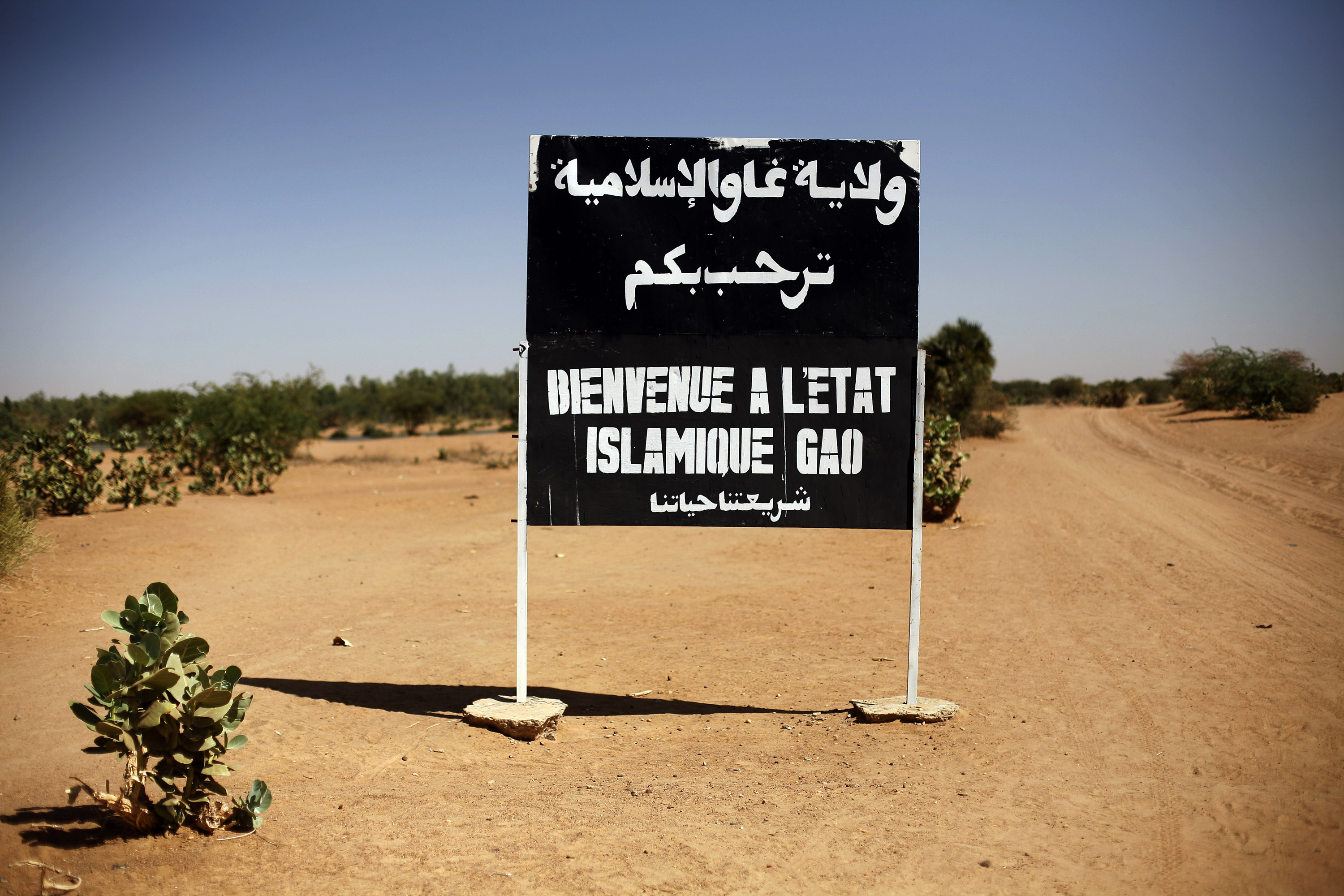 A sign on the road near Gao in Northern Mali, reads &#039;Welcome to the Islamic state of Gao&#039;. Communities have been fleeing the area due to violence from armed groups [File: Jerome Delay/AP]