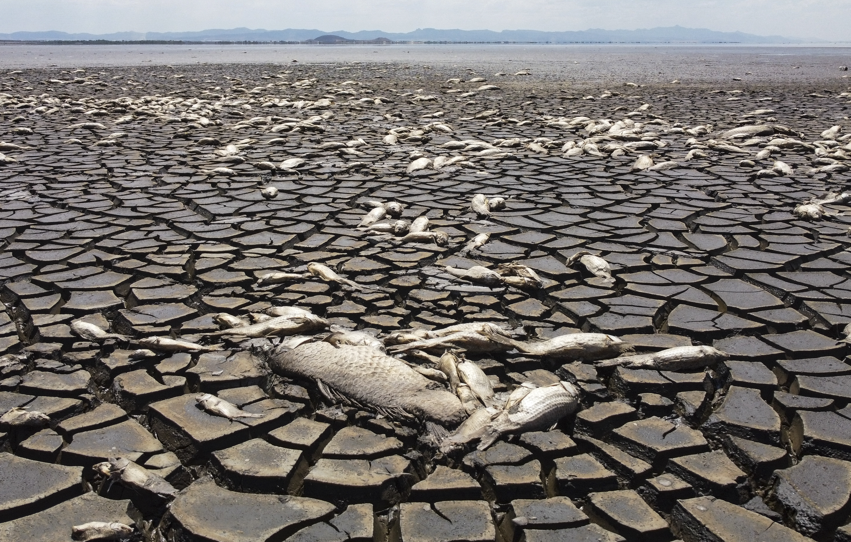 Climate