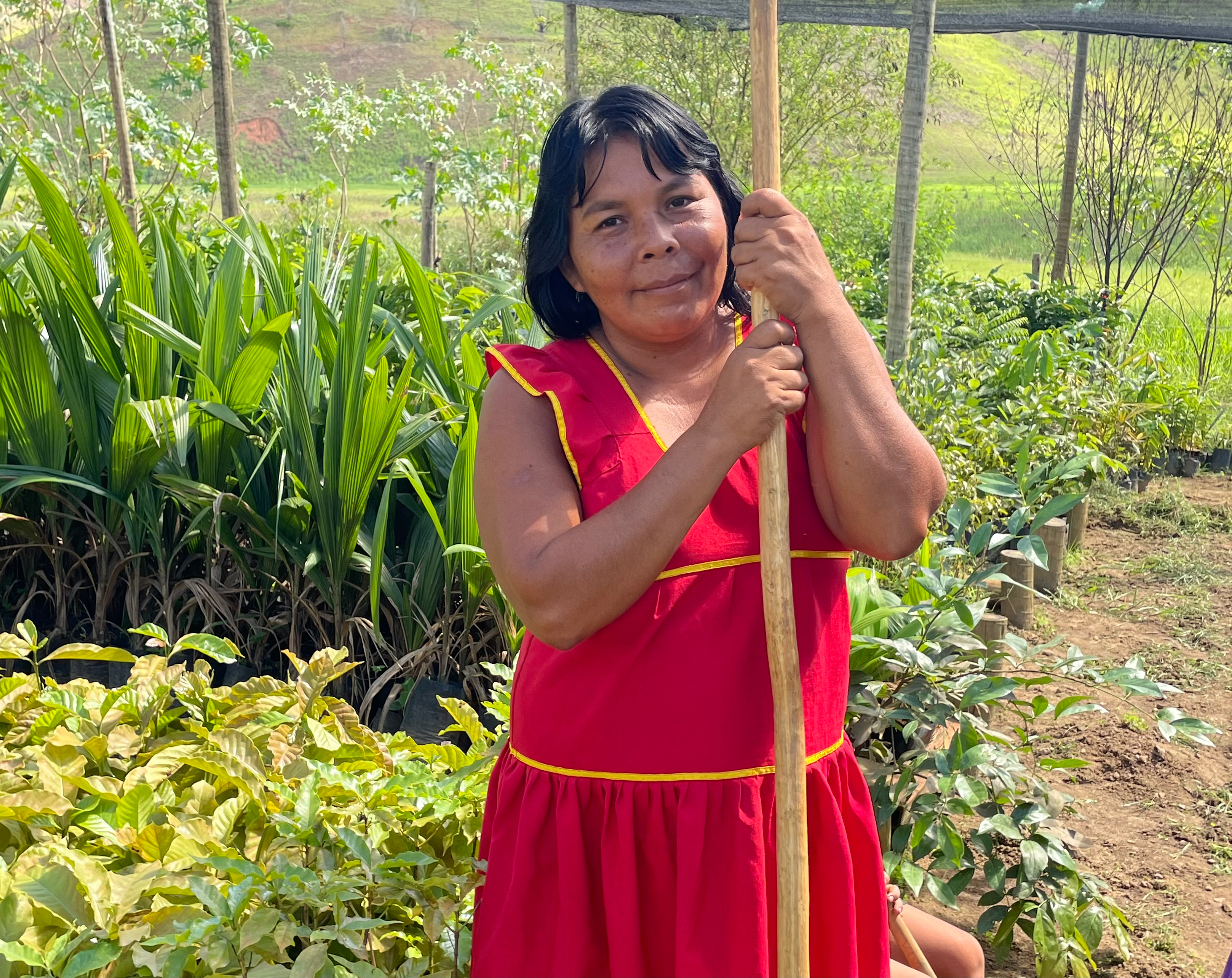 A woman leans on a wooden gardening implement outdoors in Minas Gerais