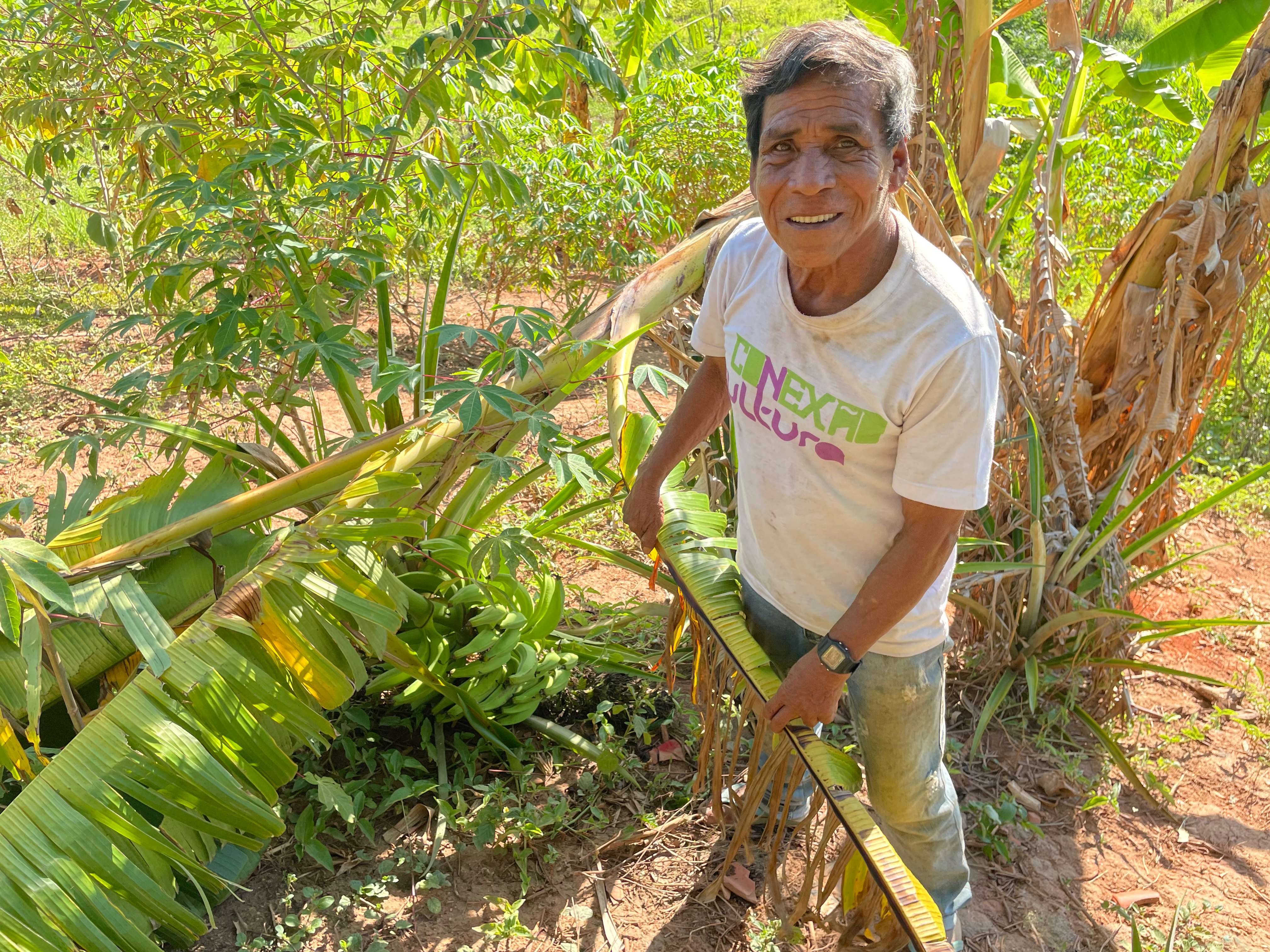Damasio Maxakali holds up a stalk from a banana tree in the lush vegetiation of the Hamhi project.