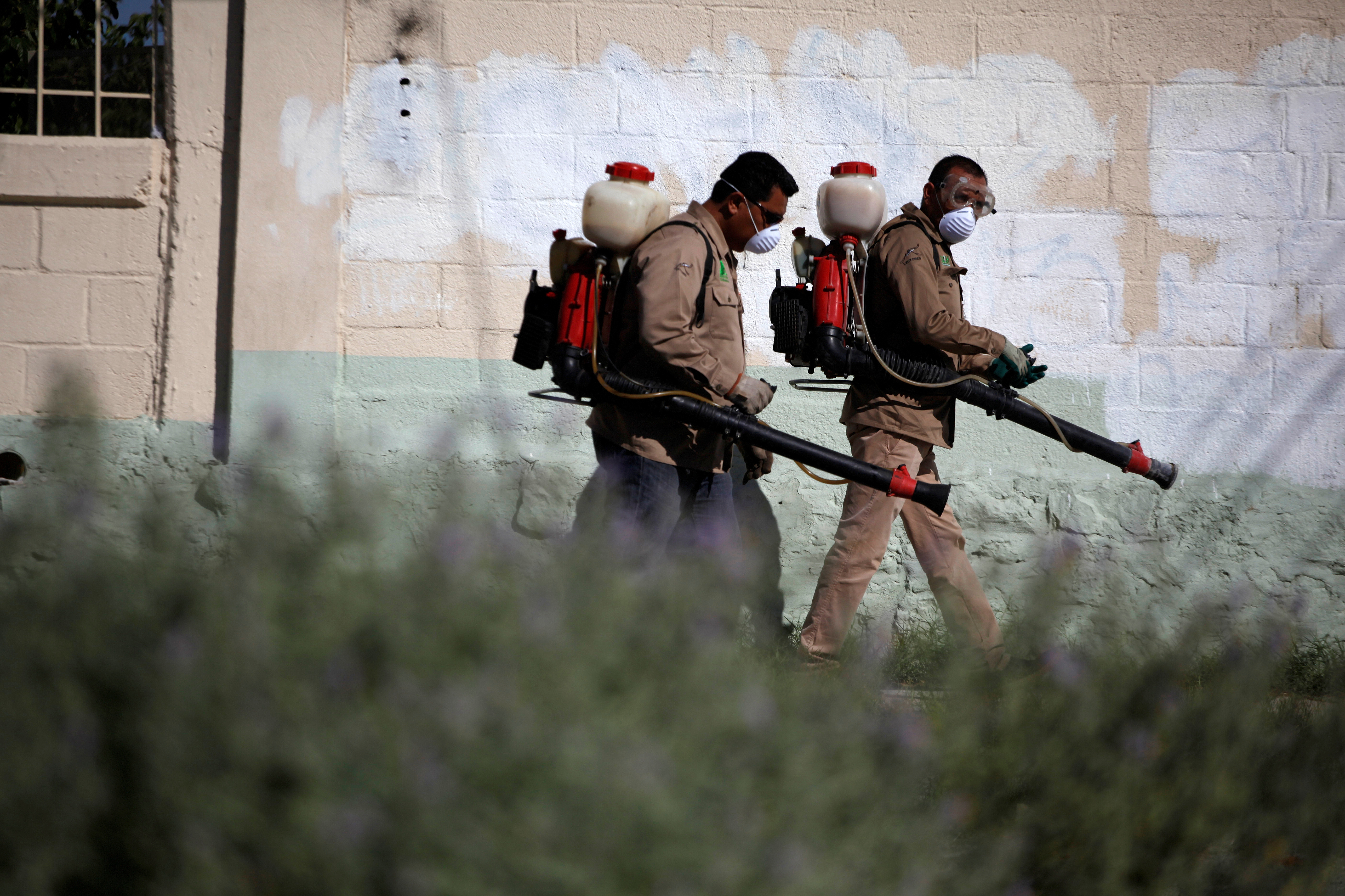 Municipal workers fumigate a school as part of efforts to prevent the spread of the chikungunya virus in Mexico in 2016 [File: Jose Luis Gonzalez/Reuters]
